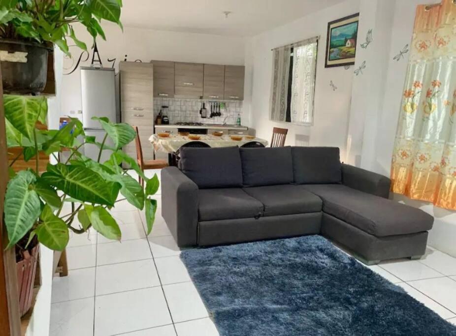 Six-Bedroom House photo 1