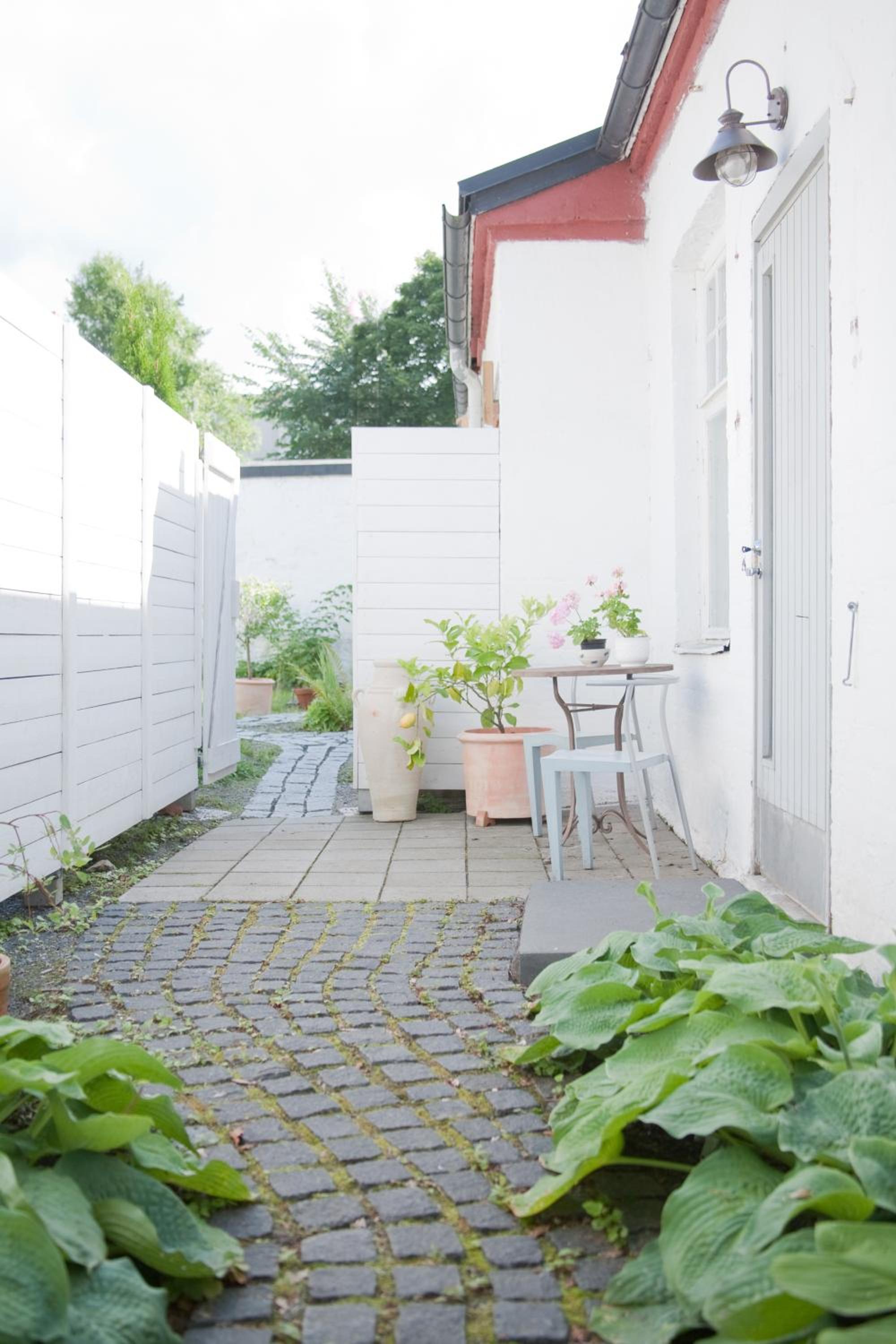 Apartment with Terrace photo 1