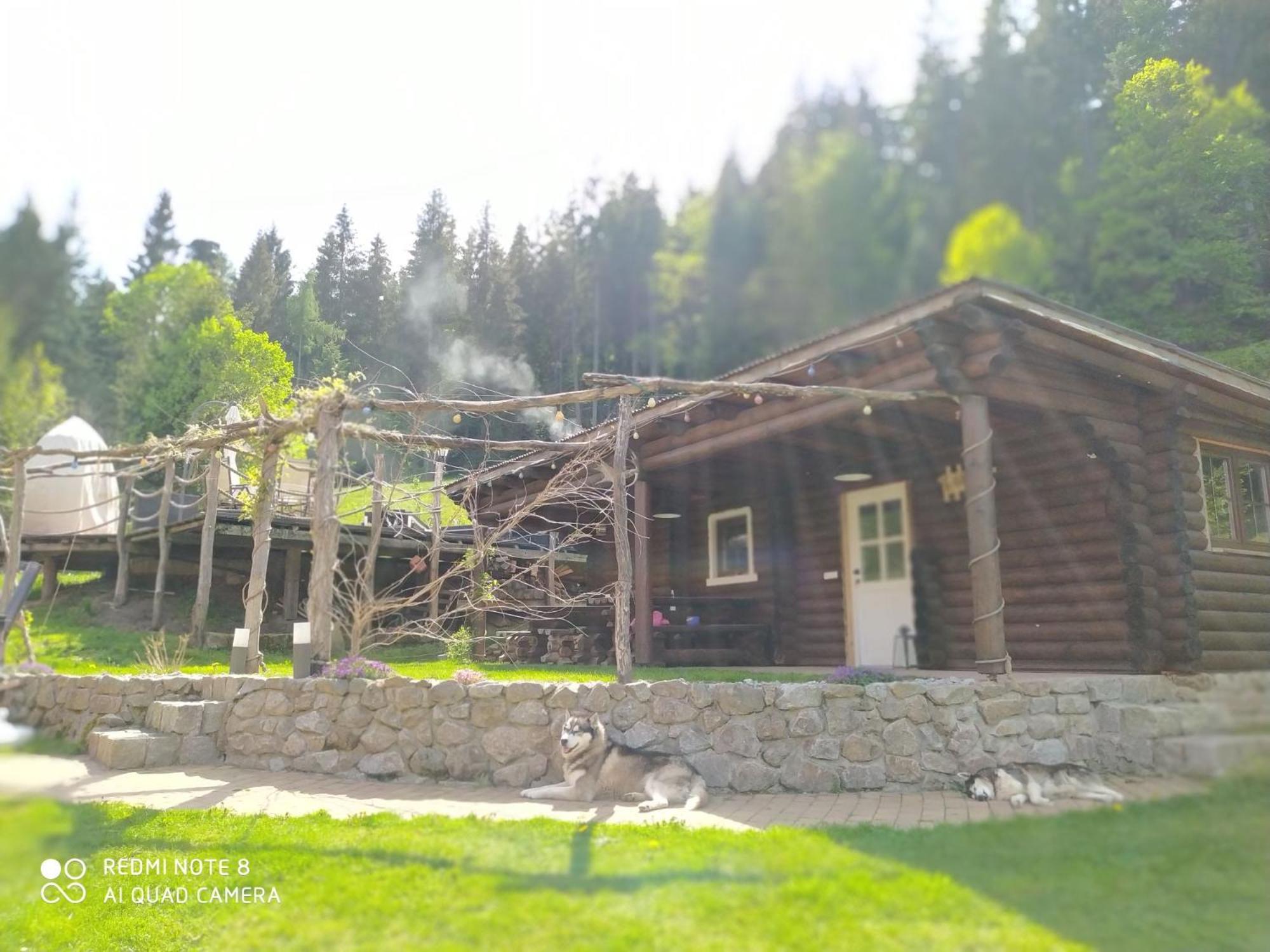 Villa photo 3