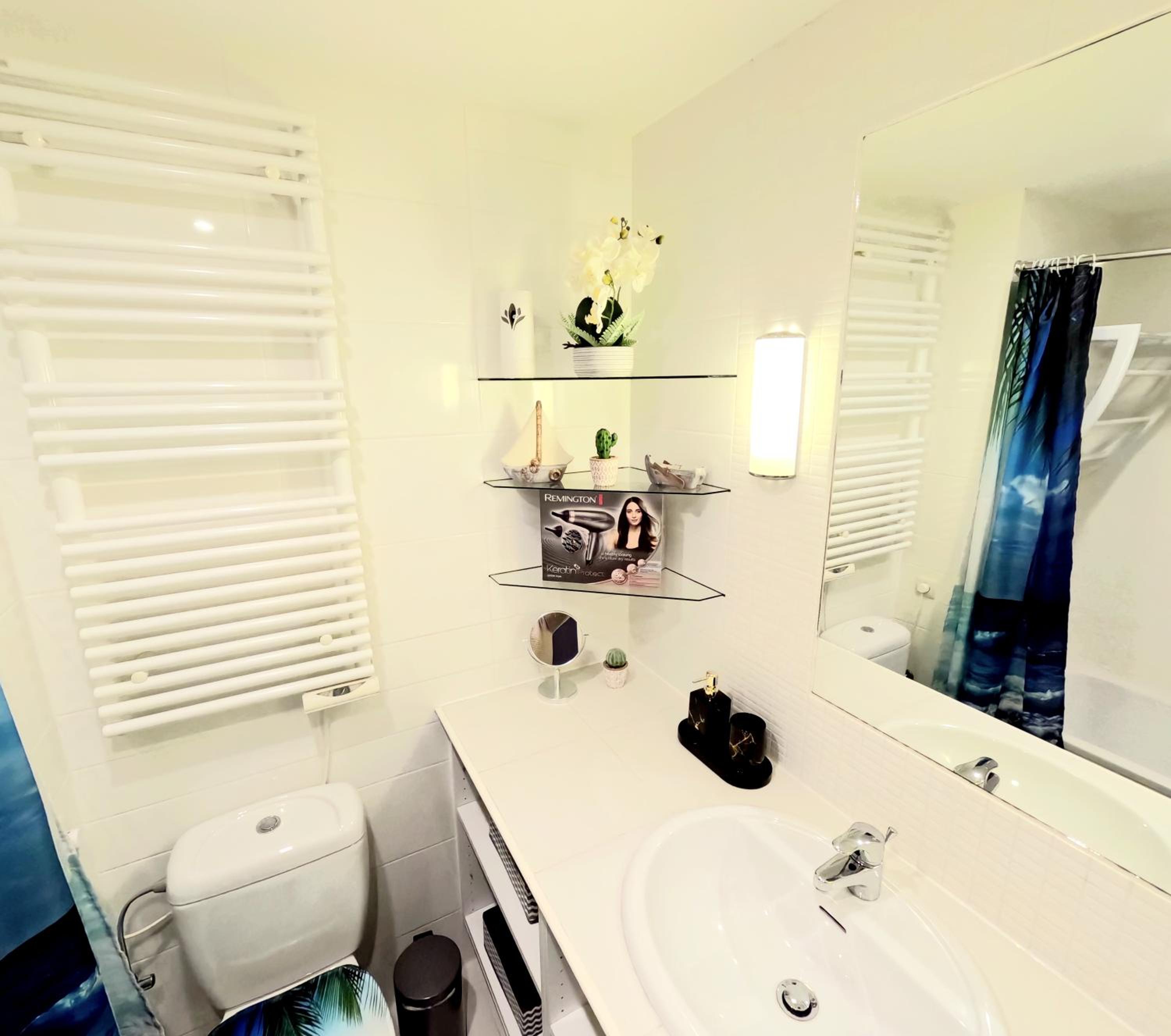 One-Bedroom Apartment photo 2