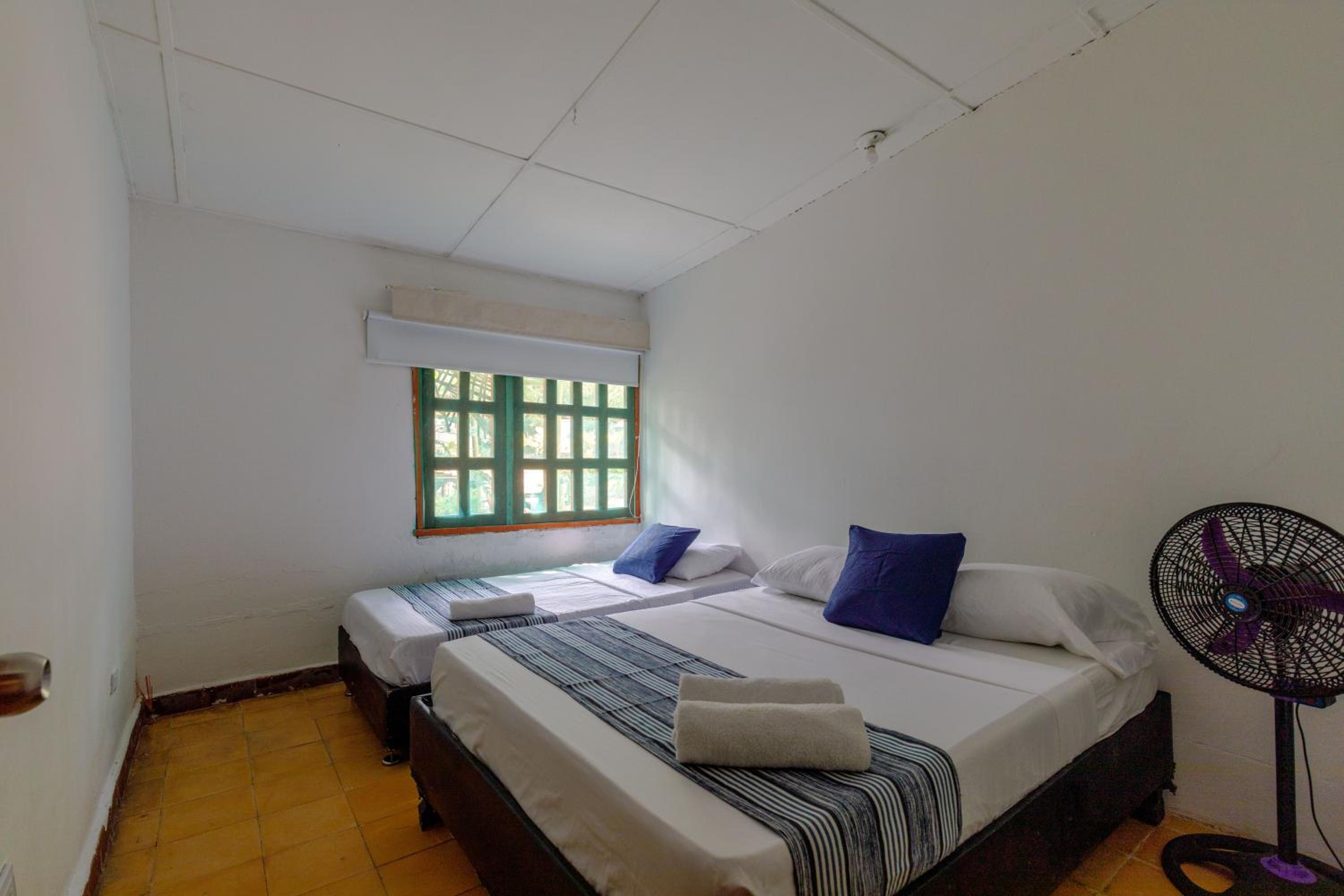 Triple Room photo 1
