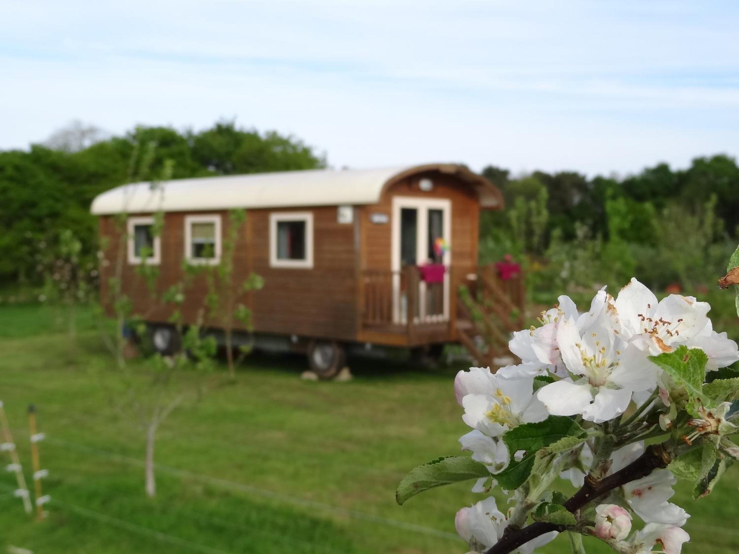 Holiday Home - Photo 6