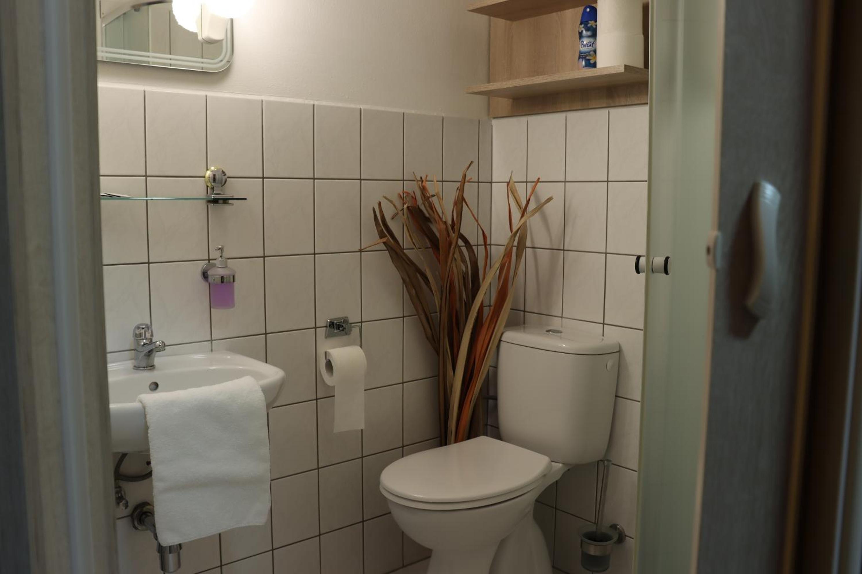 Deluxe Double Room with Extra Bed photo 3