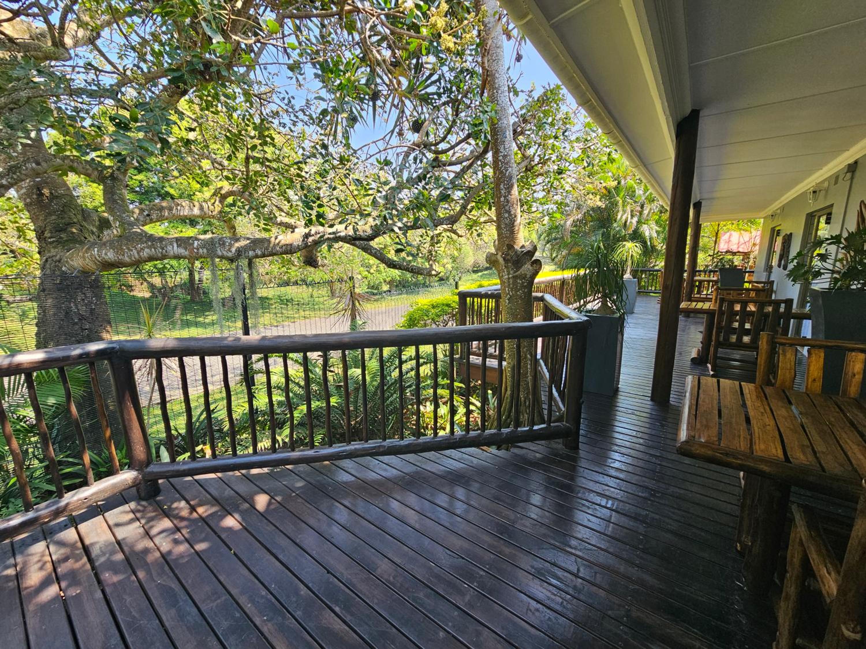 Deluxe Twin/King Forest View Room with Balcony photo 3