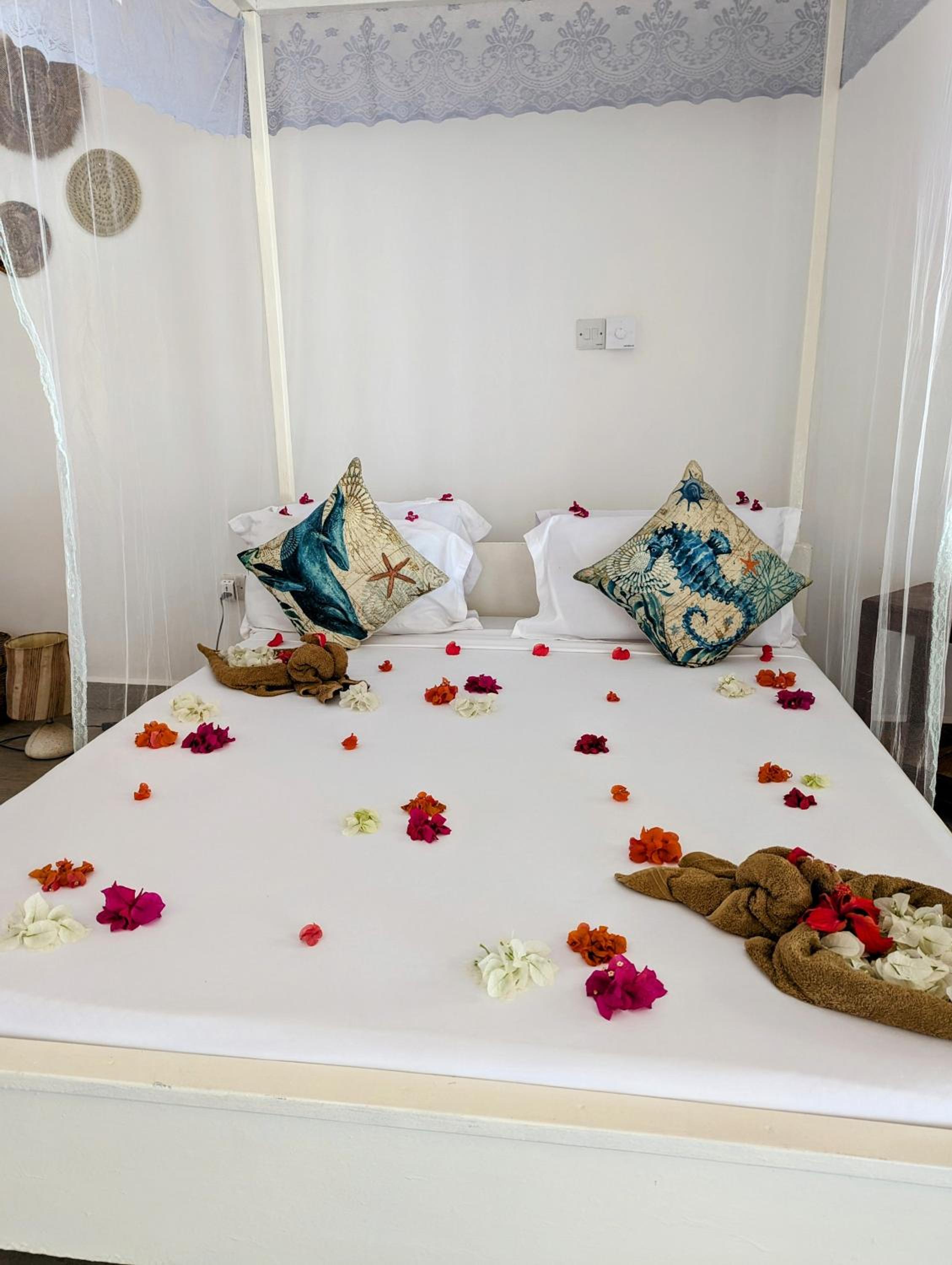 Double Room with Balcony photo 1