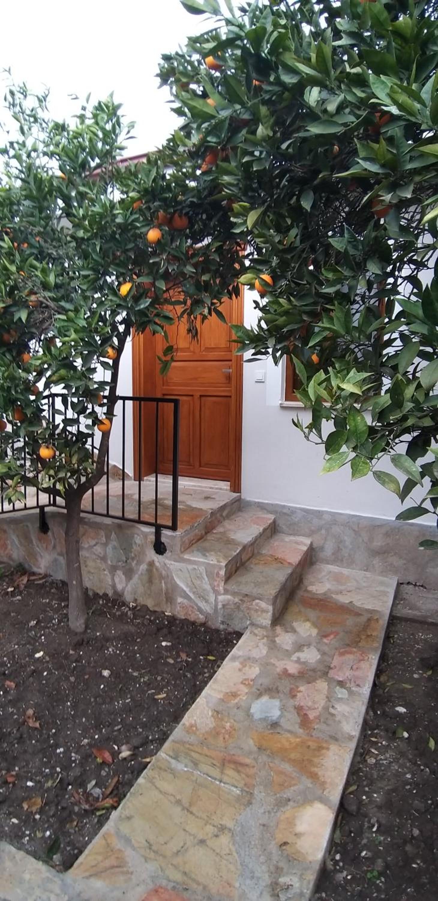 Suite with Garden View photo 3