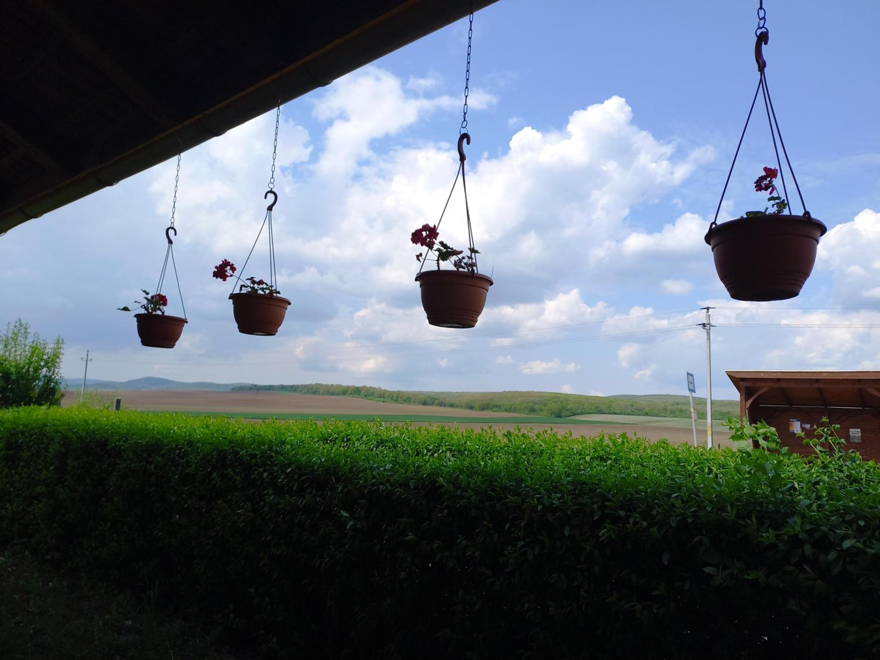 Triple Room With Garden View photo 2