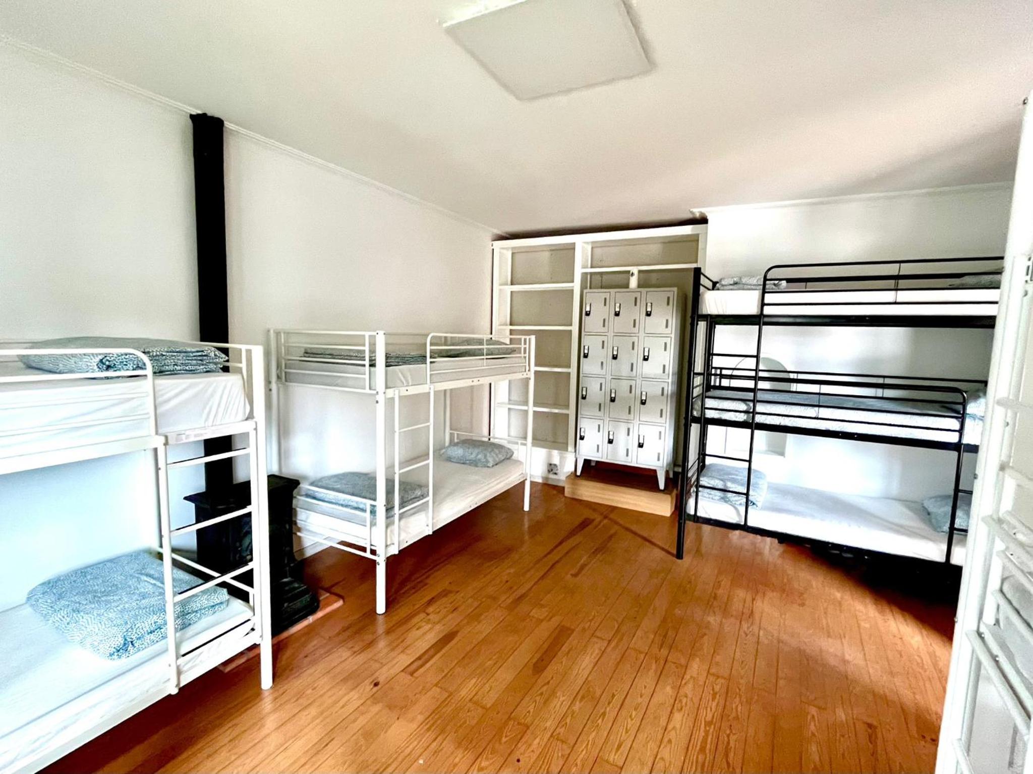 Bunk Bed in Mixed Dormitory Room photo 2
