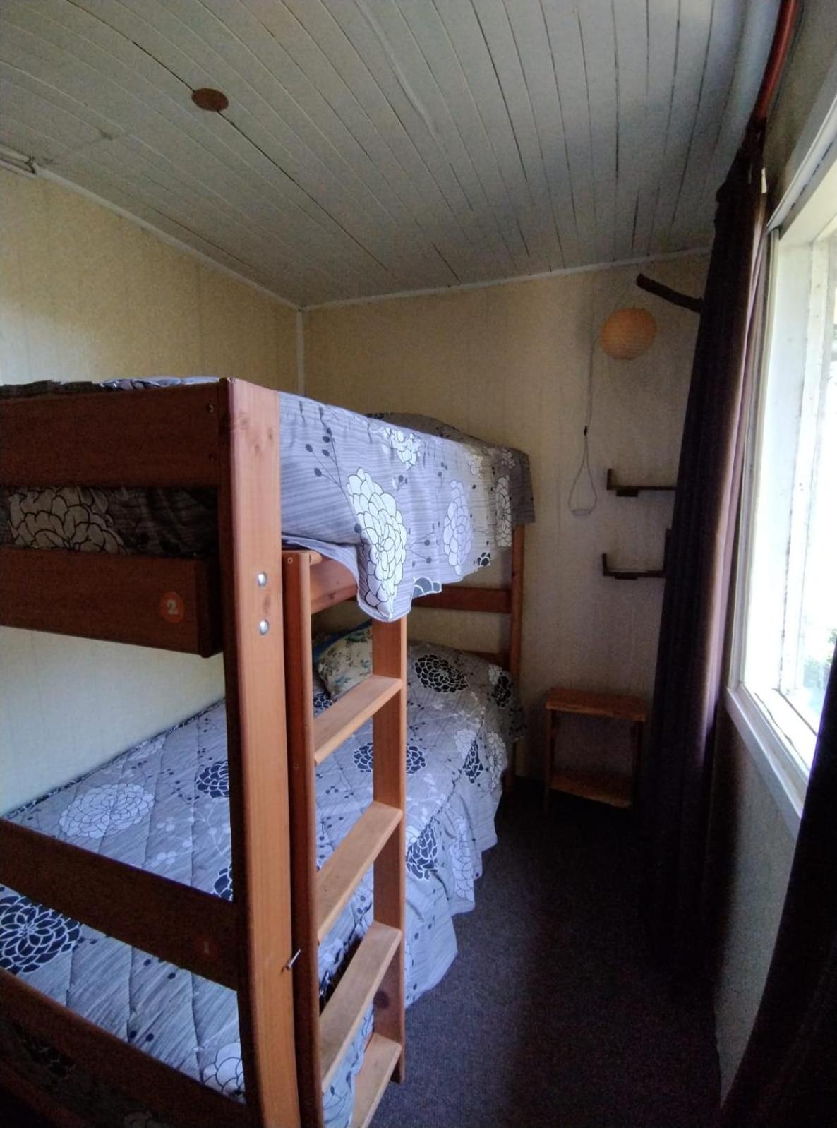 Single Bed in Mixed Dormitory Room photo 3