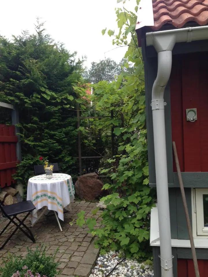 One-Bedroom House photo 2