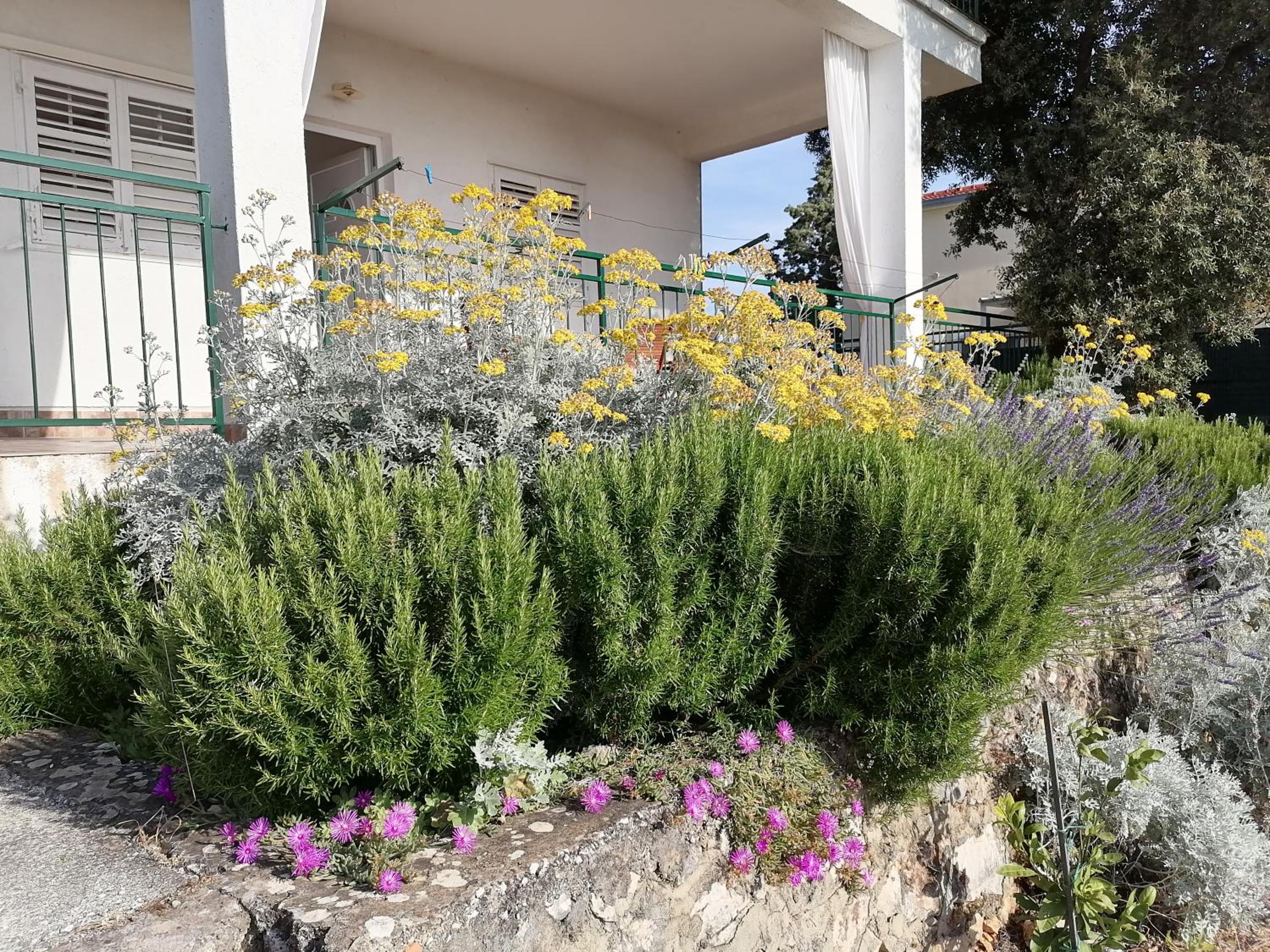 Three-Bedroom Apartment with Terrace and Sea View