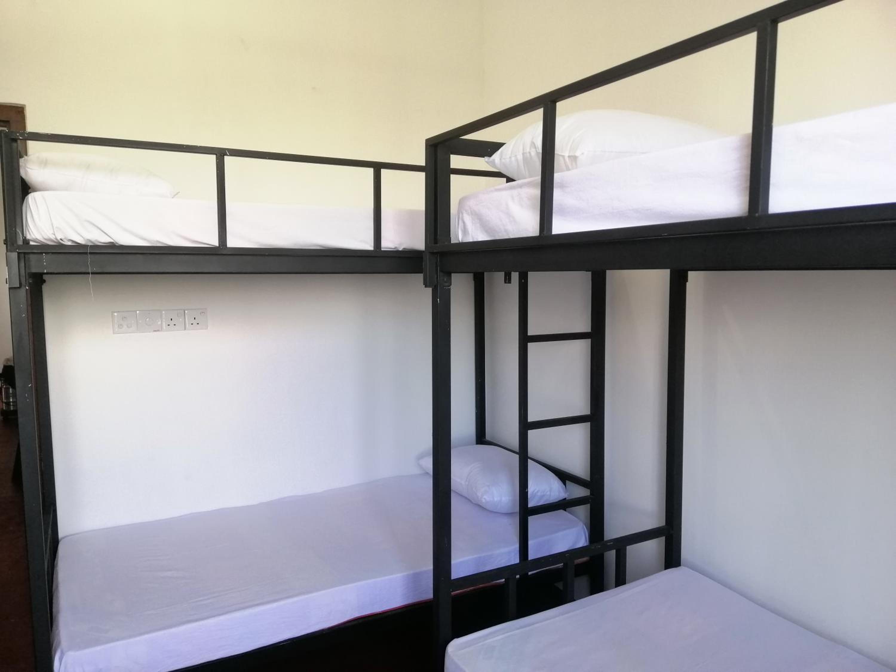 Bunk Bed In Mixed Dormitory Room photo 1