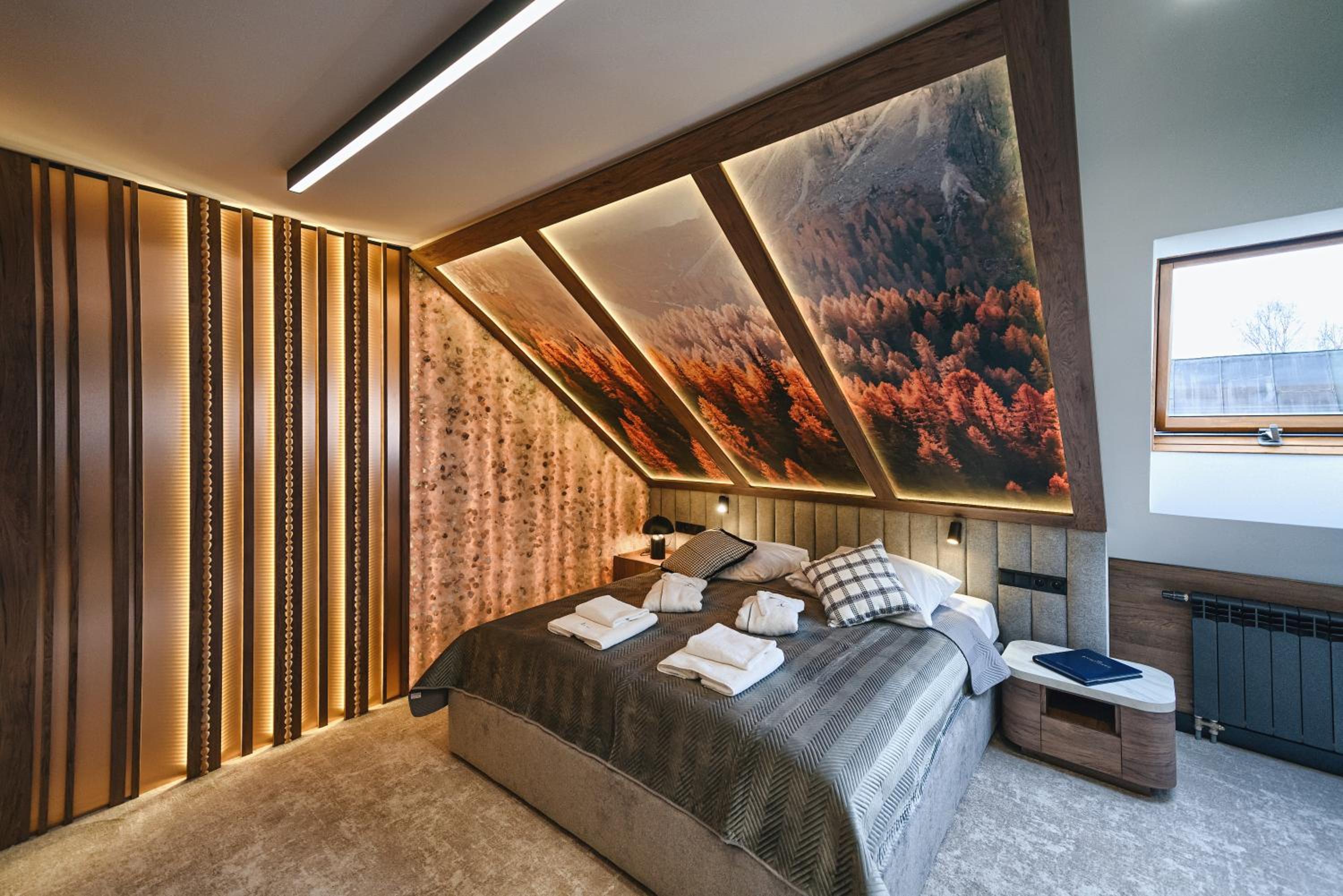 Deluxe VIP Double Room - no passage to Zakopane baths