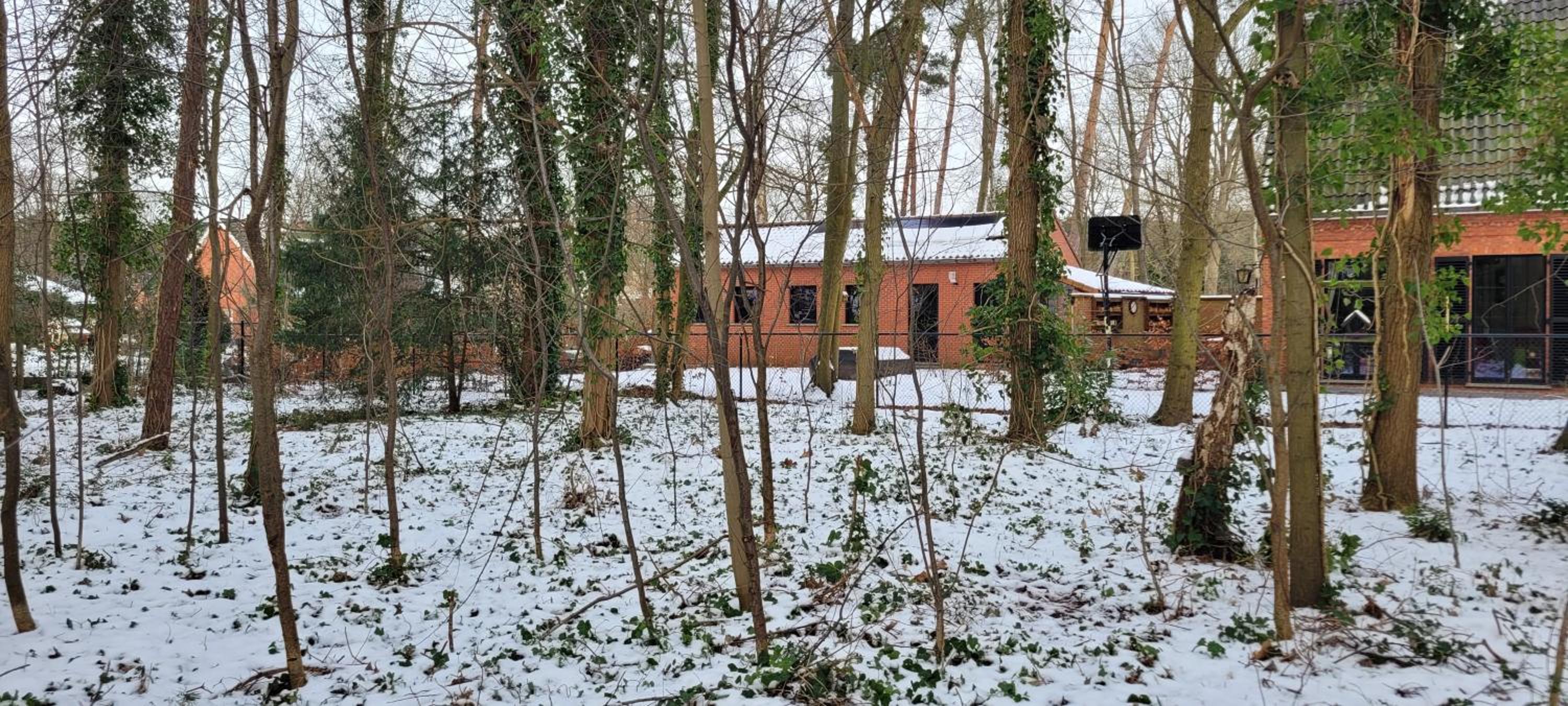 Studio with Garden and Terrace - Photo 1