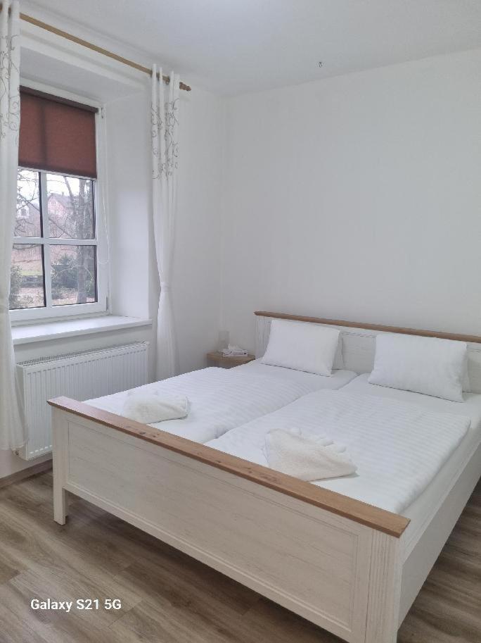 Suite - Photo 1