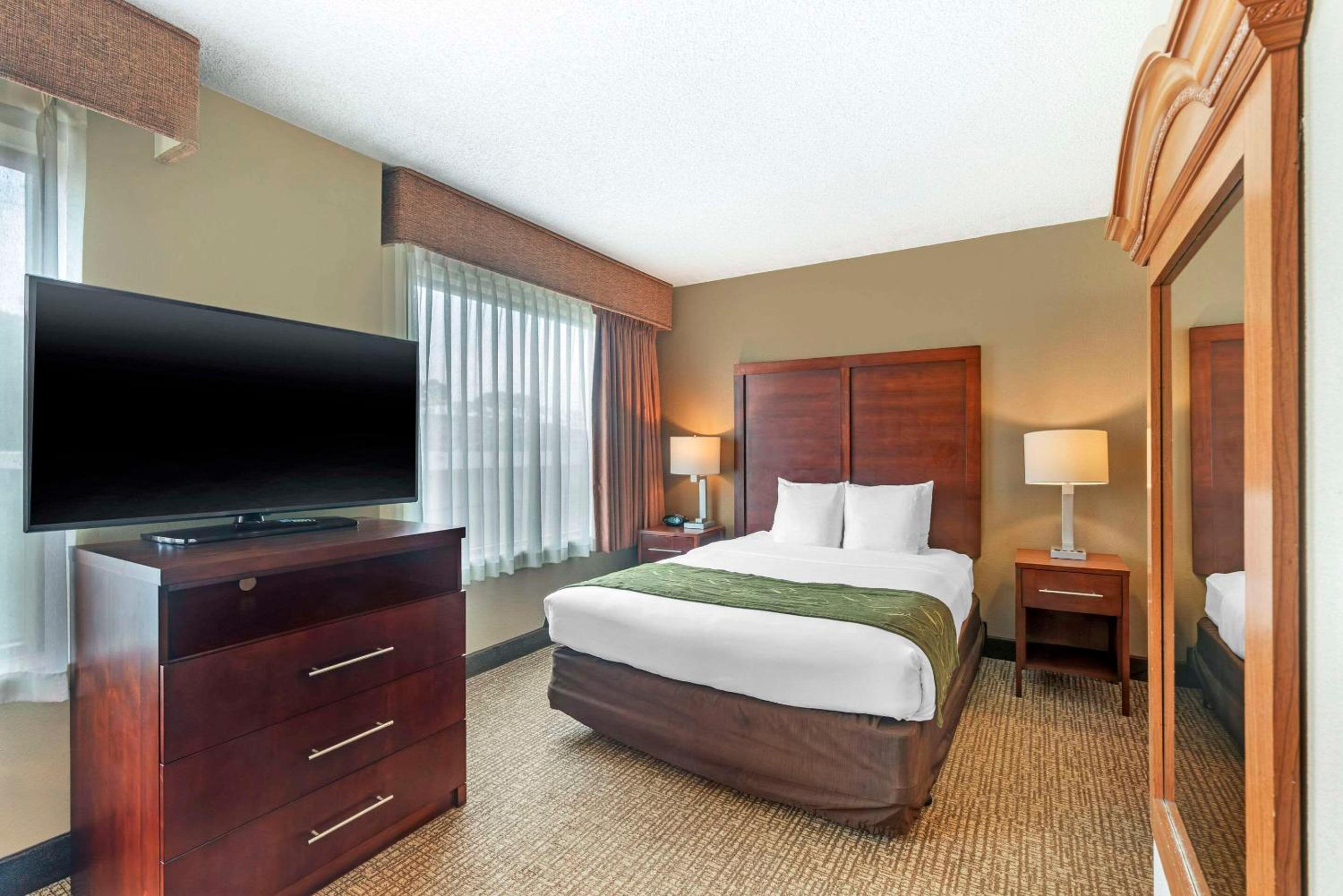 King Suite - Non-Smoking photo 1