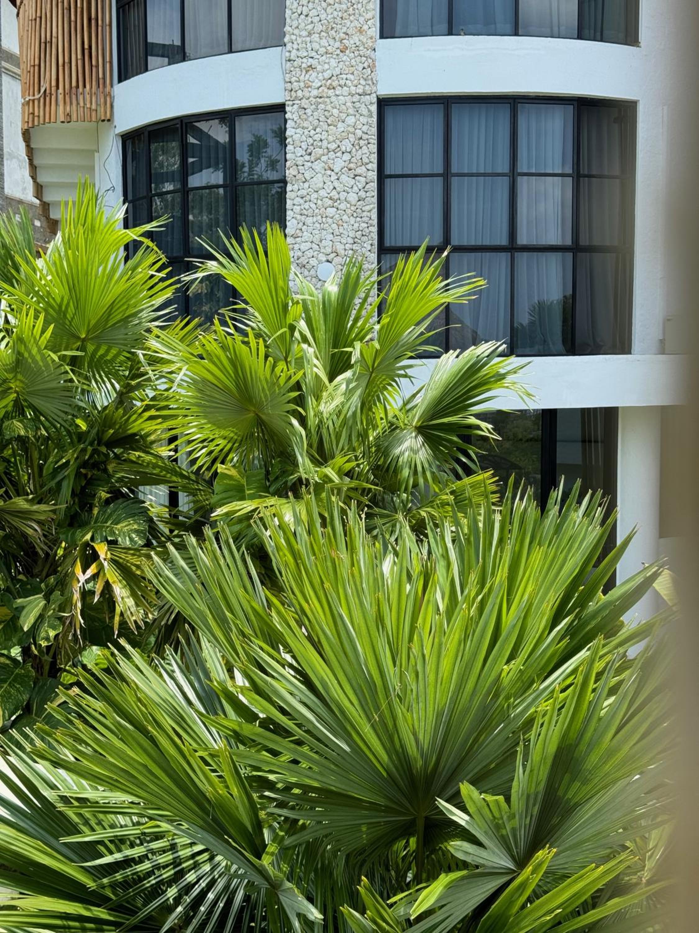 Three-Bedroom Villa - Photo 10