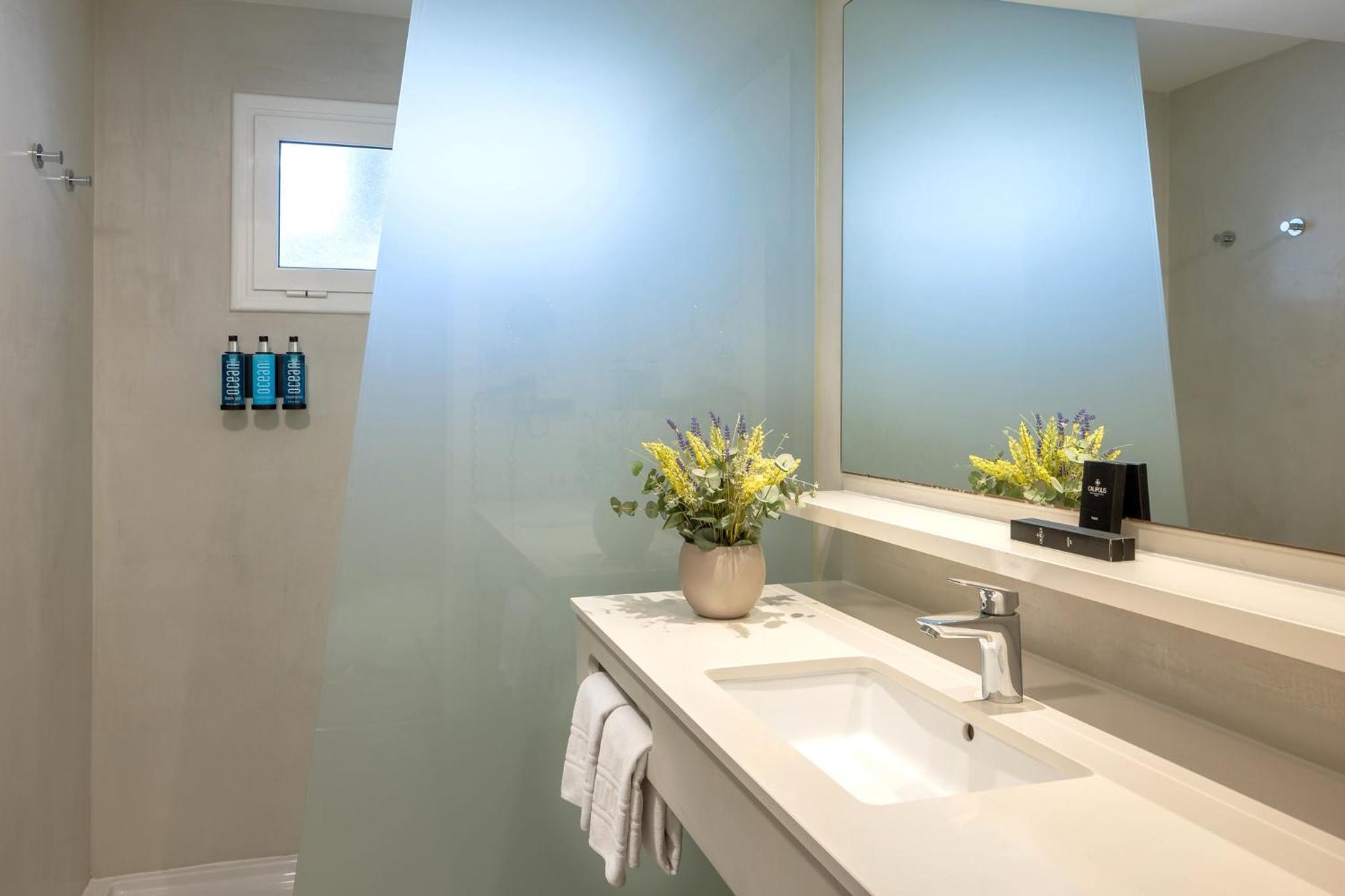 Executive Double or Twin Room with Mountain View photo 3