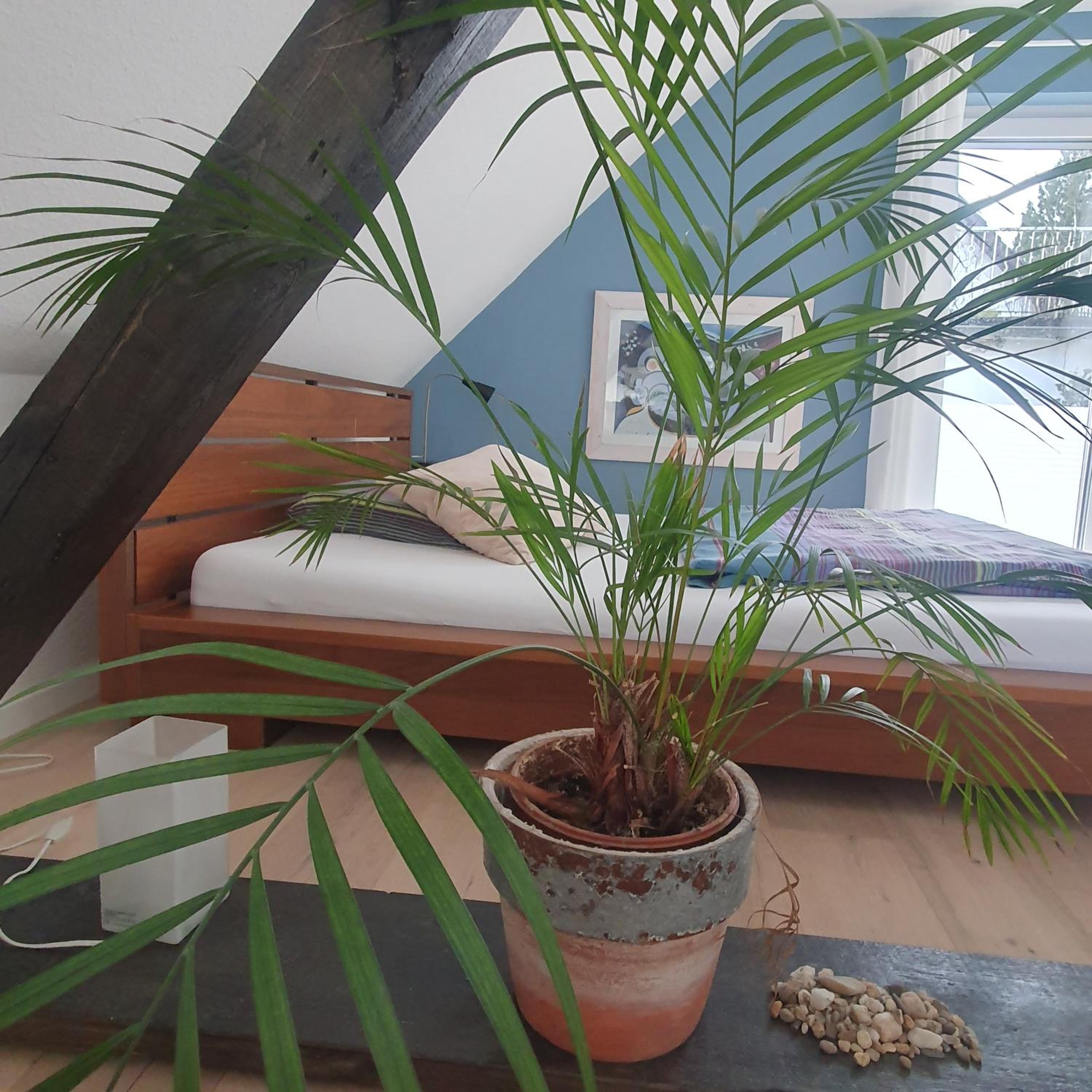 Double Room with Private Bathroom photo 2