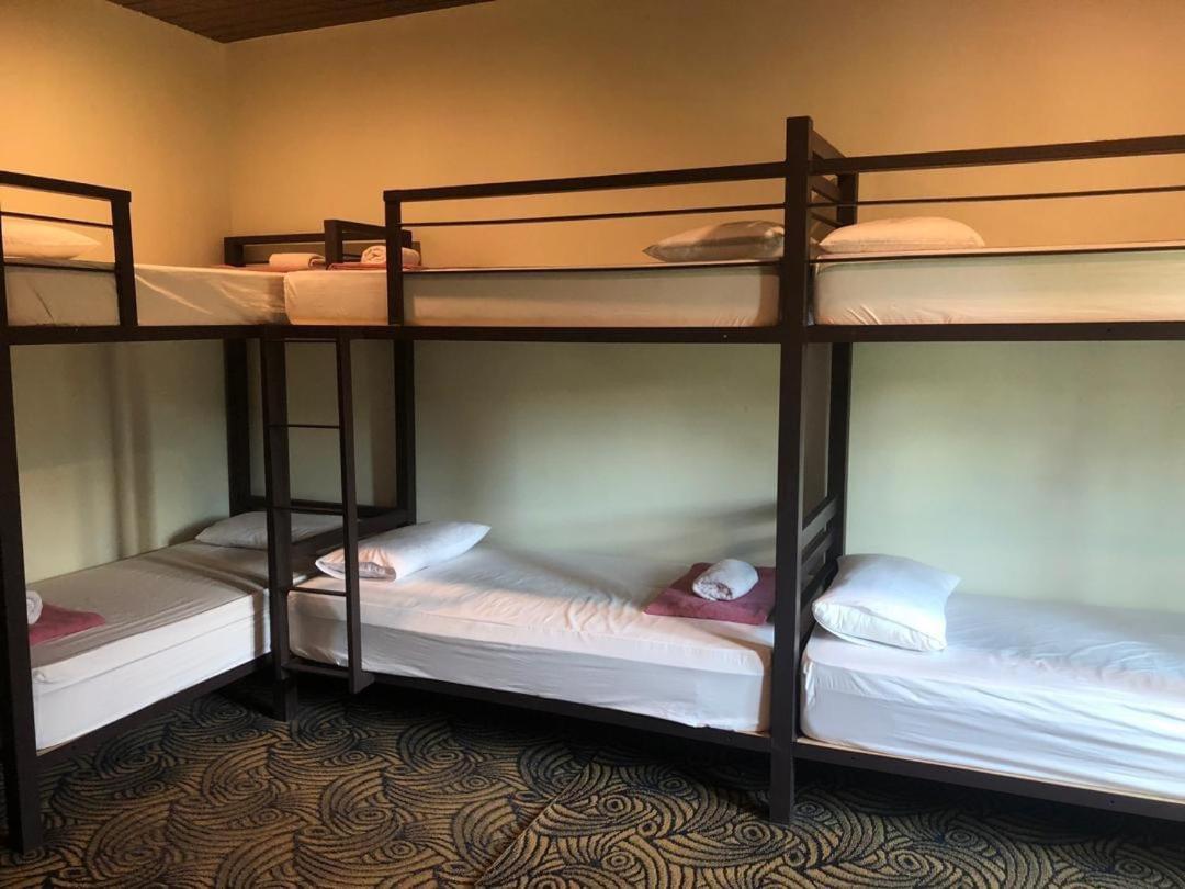 8-Bed Male Dormitory Room photo 1