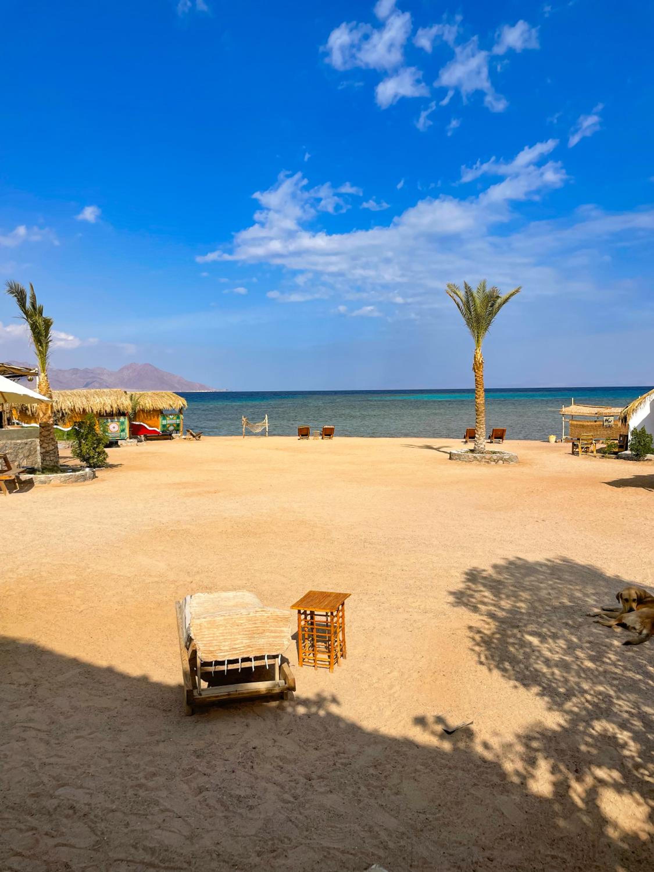 Deluxe Bungalow with Sea View - Photo 7