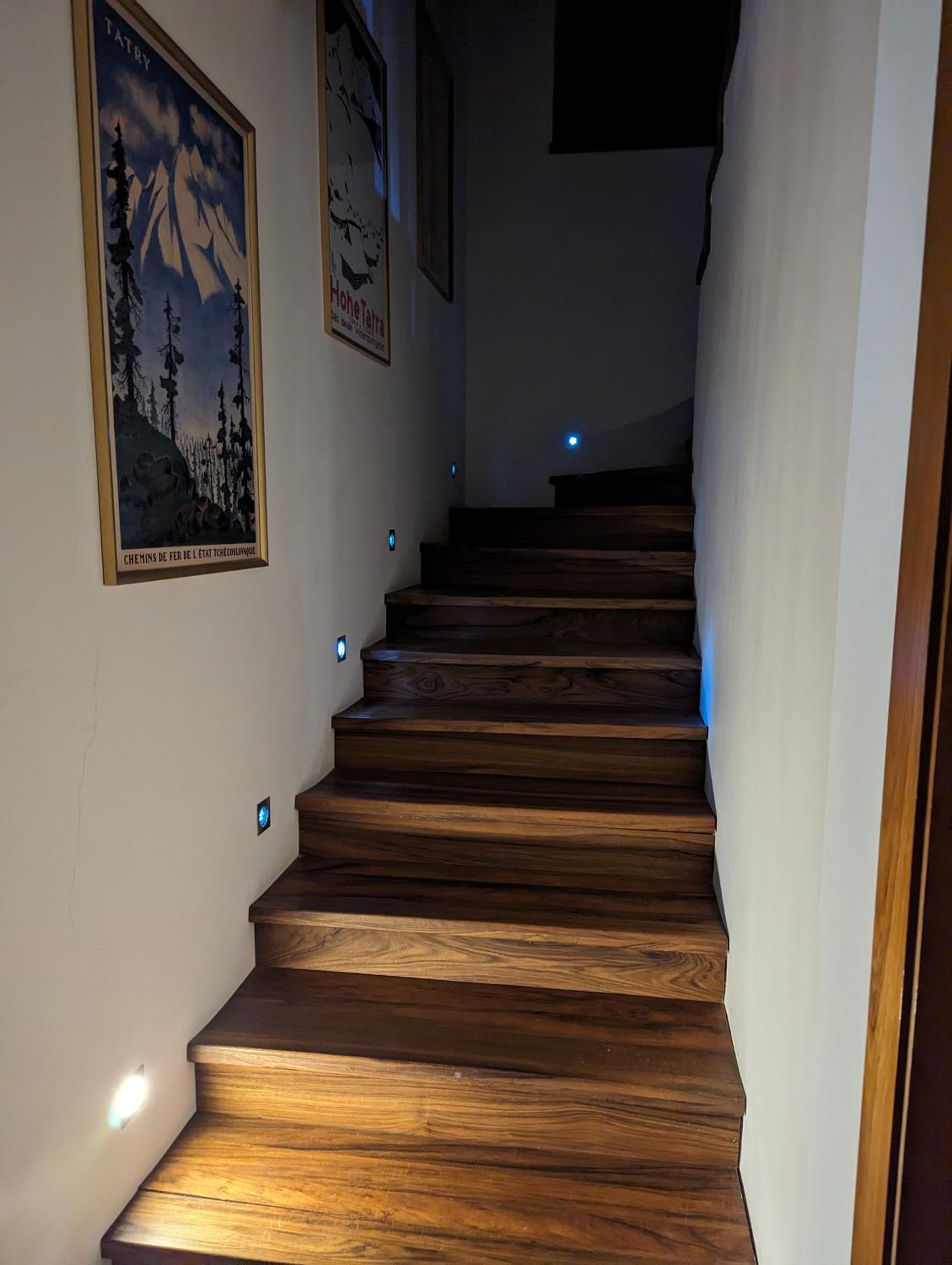 Superior Villa photo 3