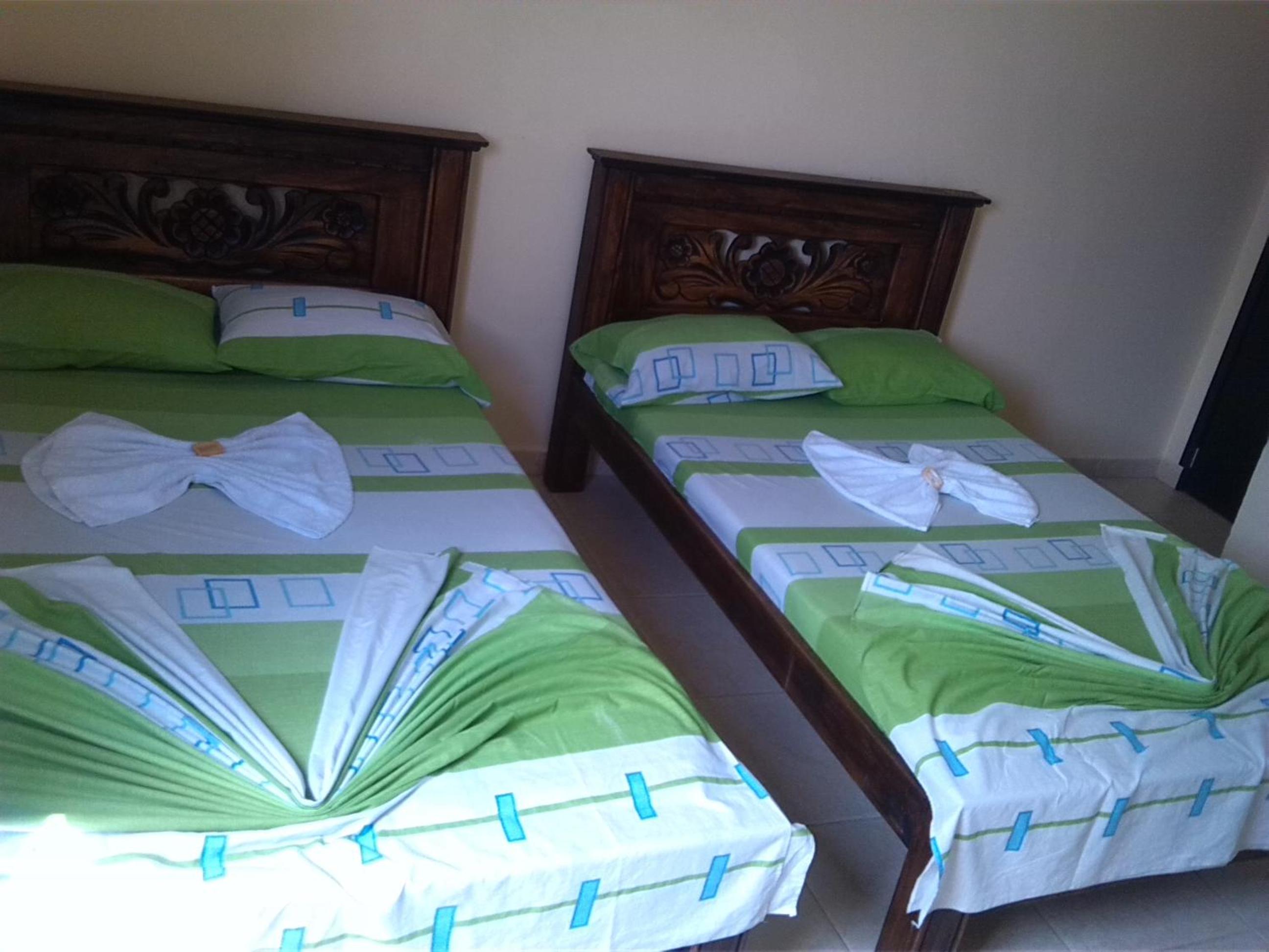 Twin Room photo 3