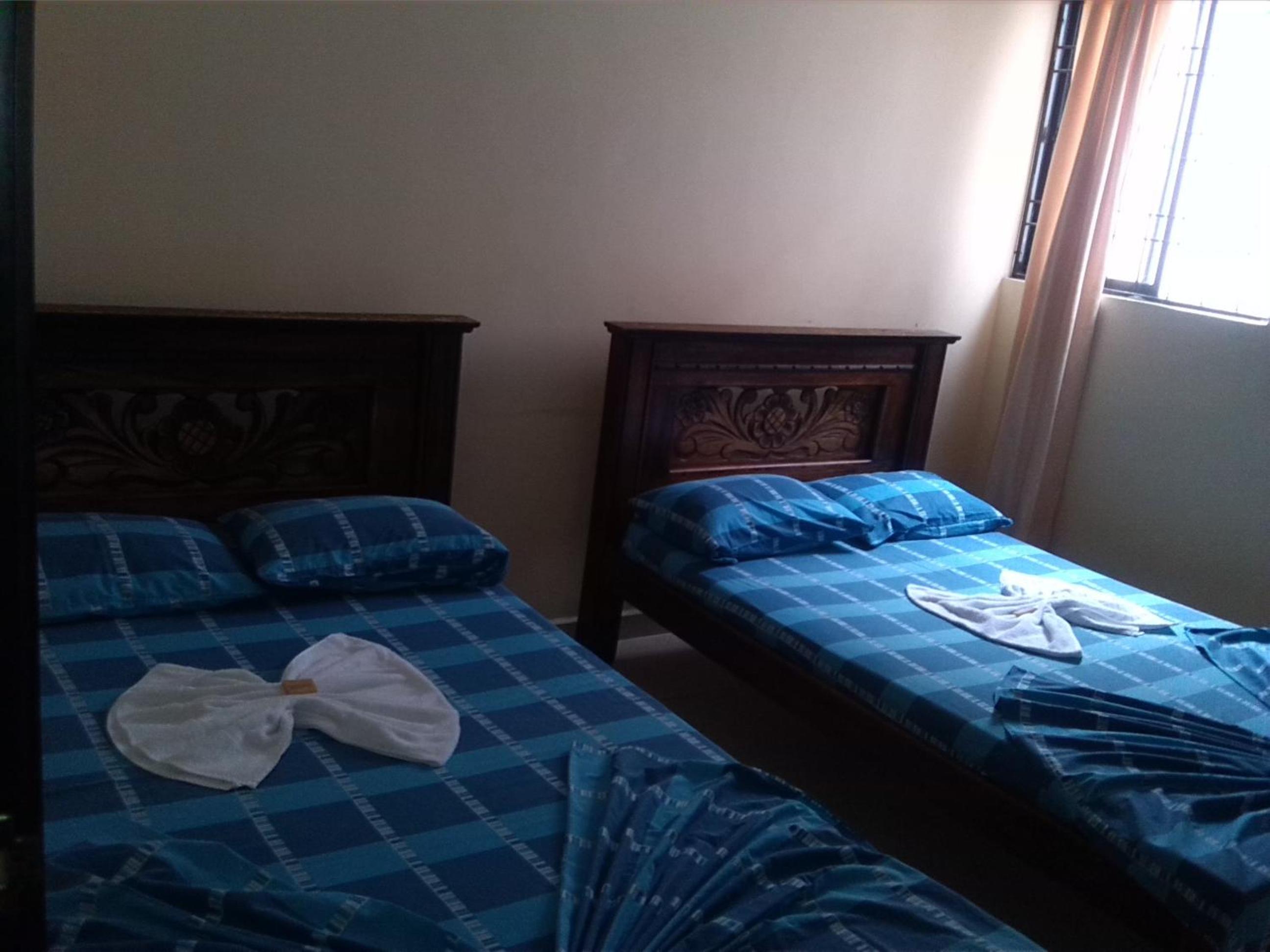 Twin Room photo 2