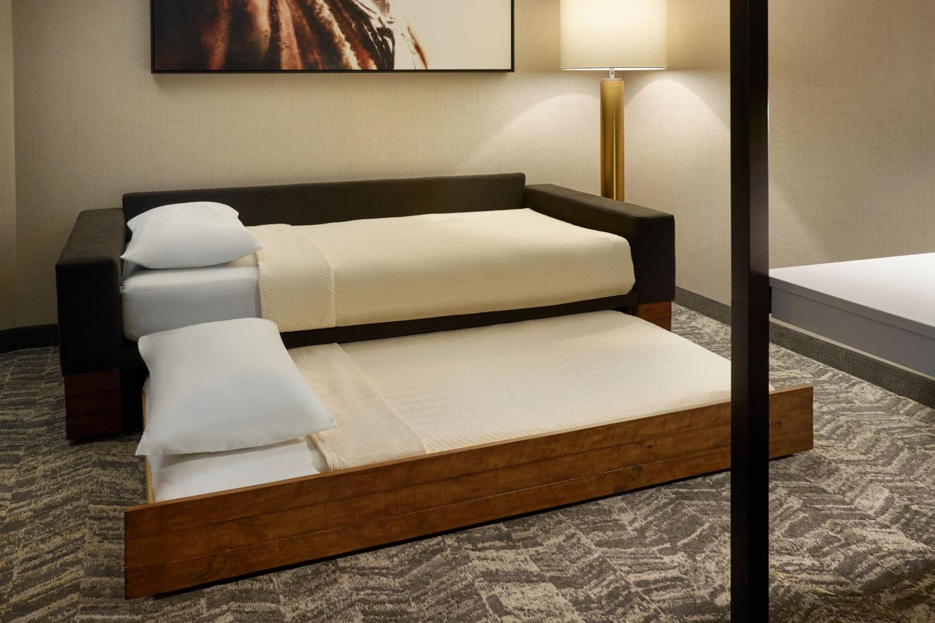 King Suite with Tub - Mobility Accessible - Photo 3