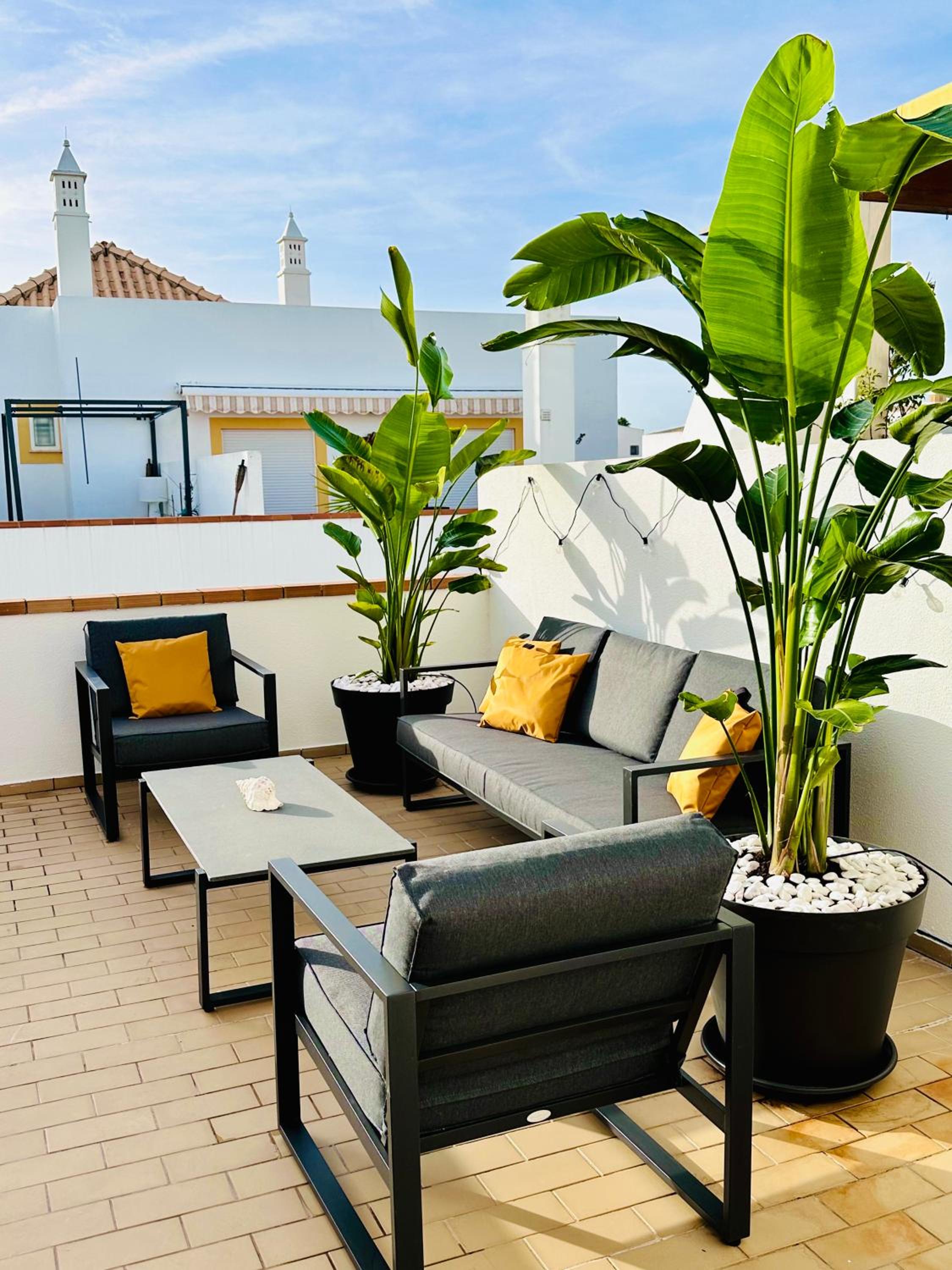 Apartment with Terrace photo 3