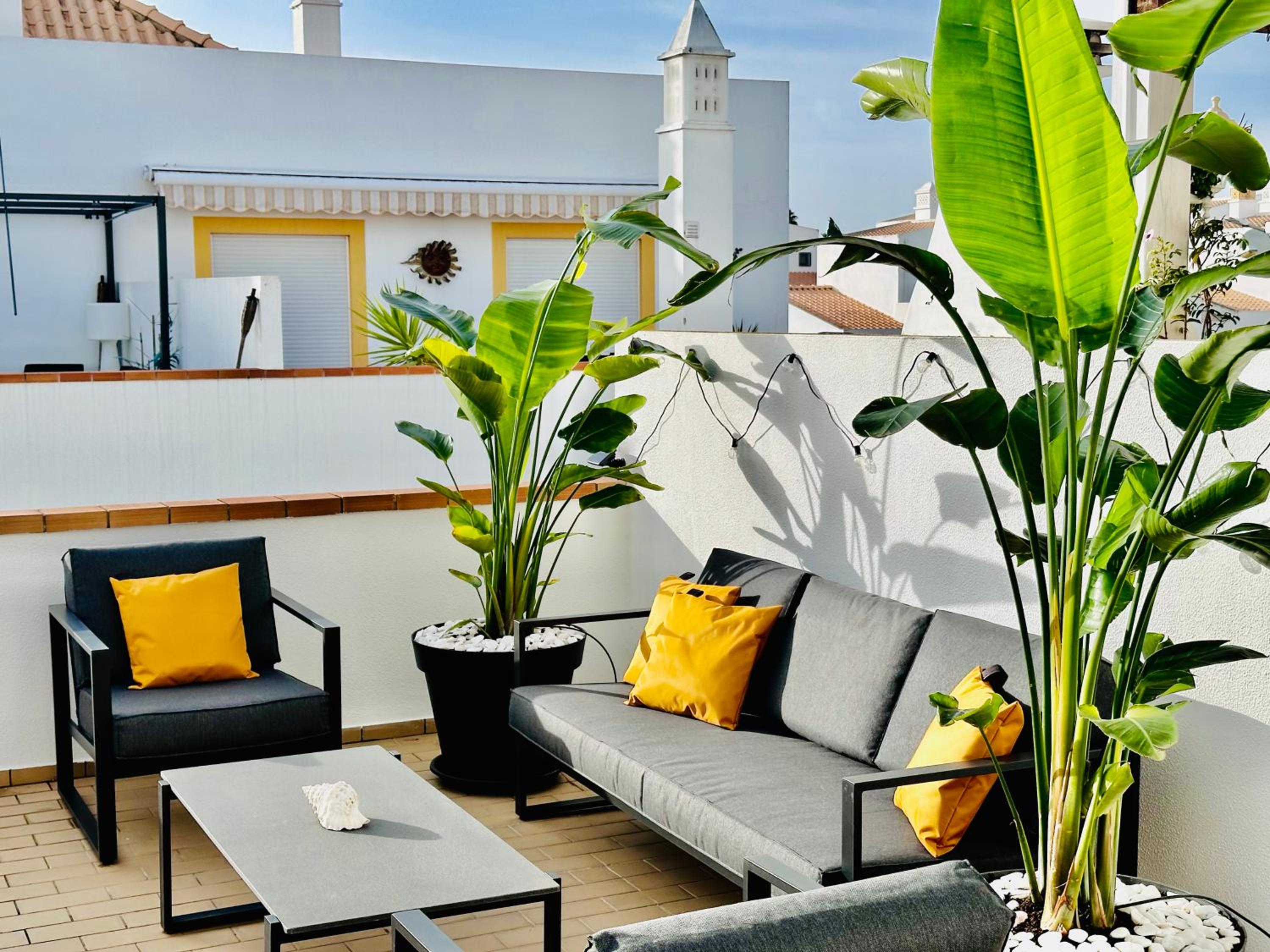 Apartment with Terrace photo 2