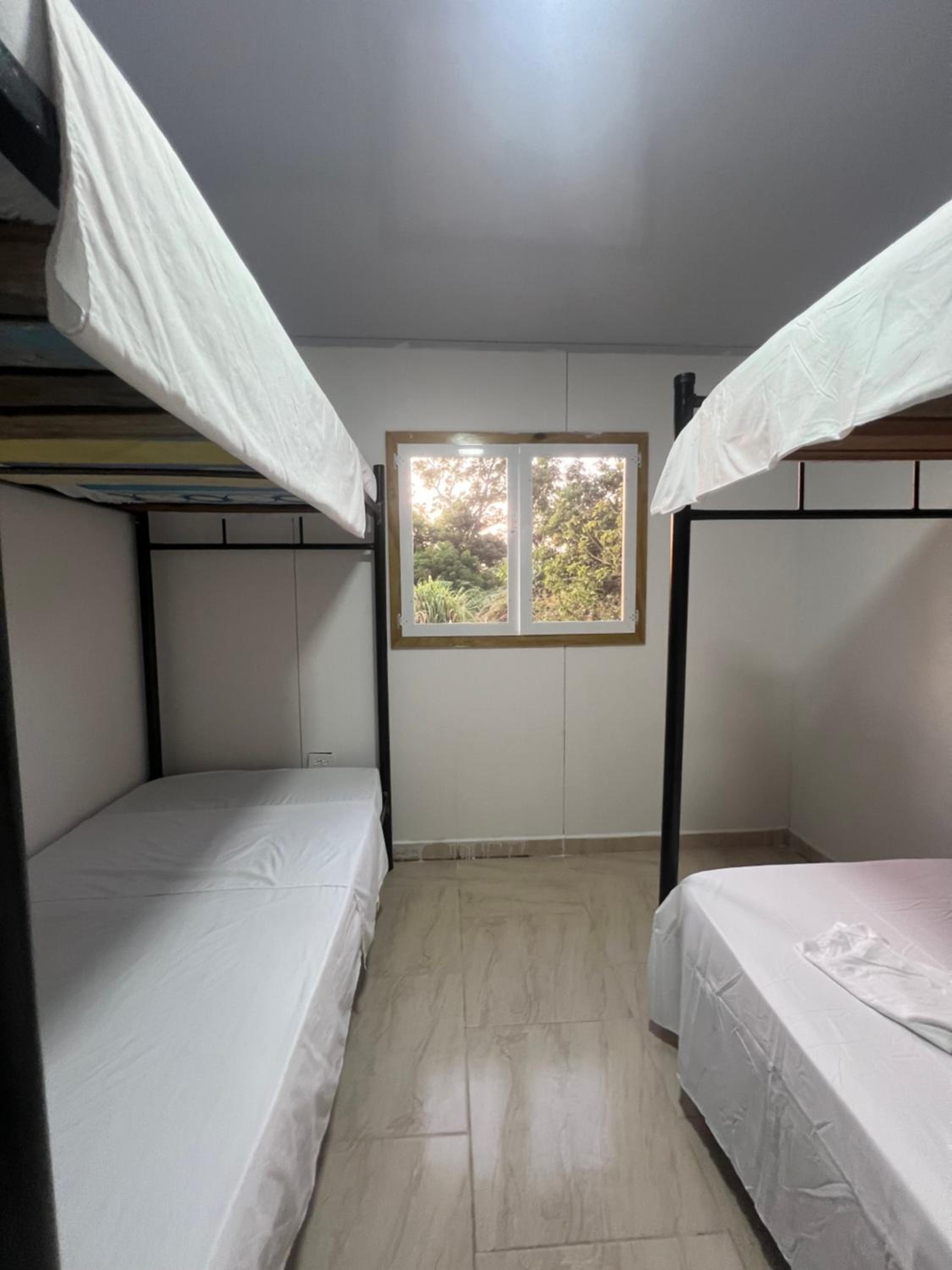 4-Bed Mixed Dormitory Room photo 2
