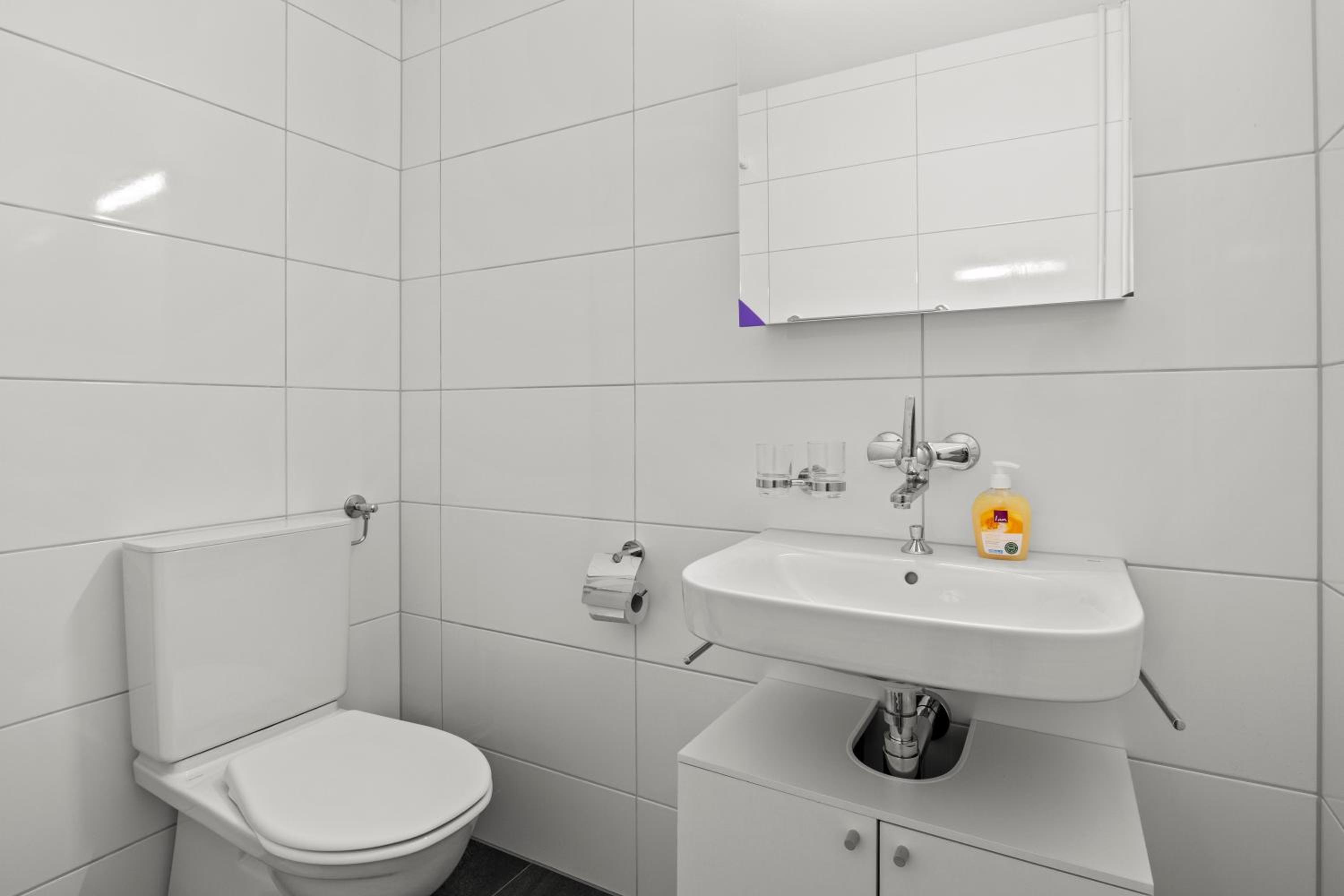 Apartment with Shower photo 2