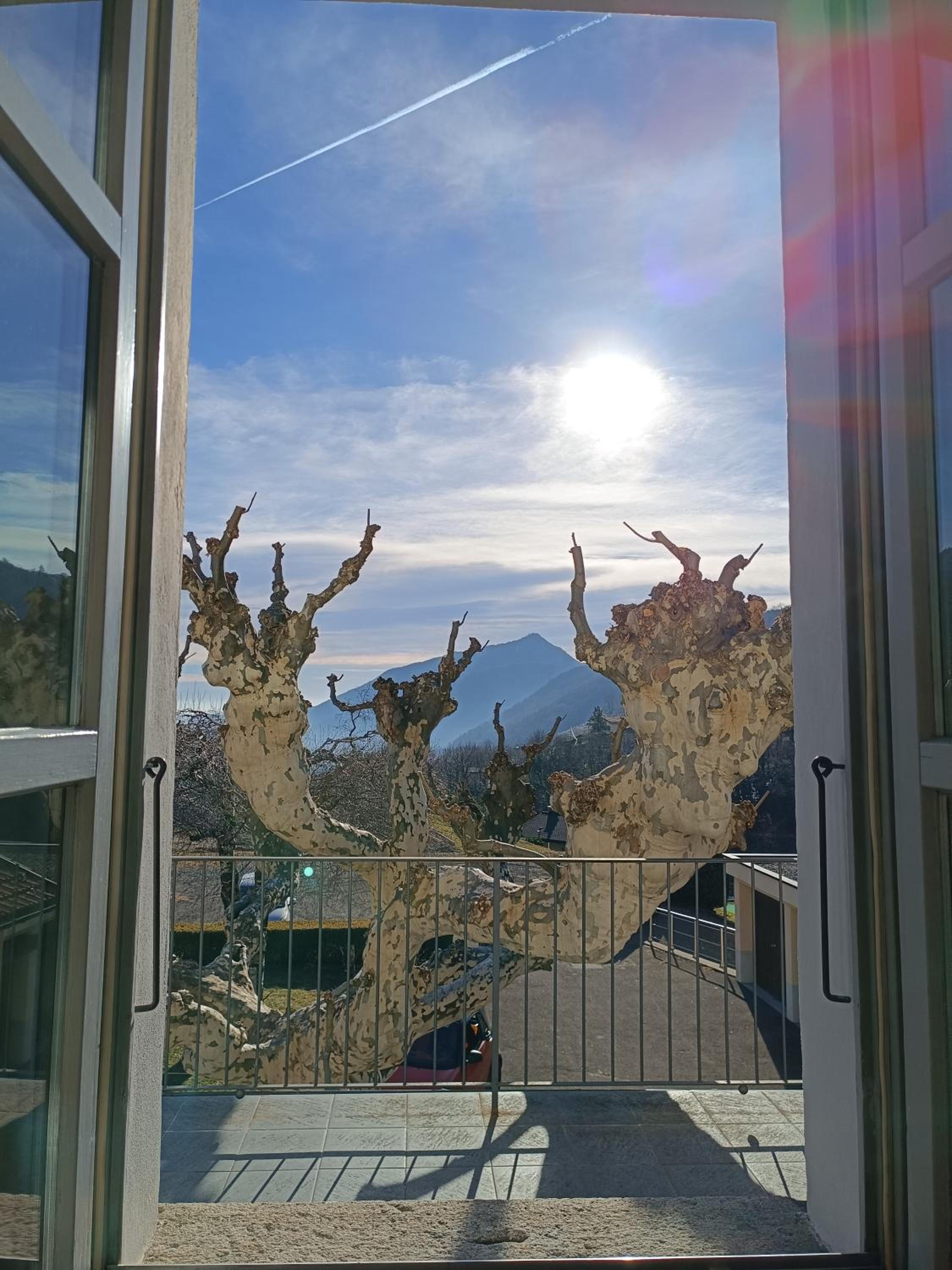 Double Room with Garden View photo 2