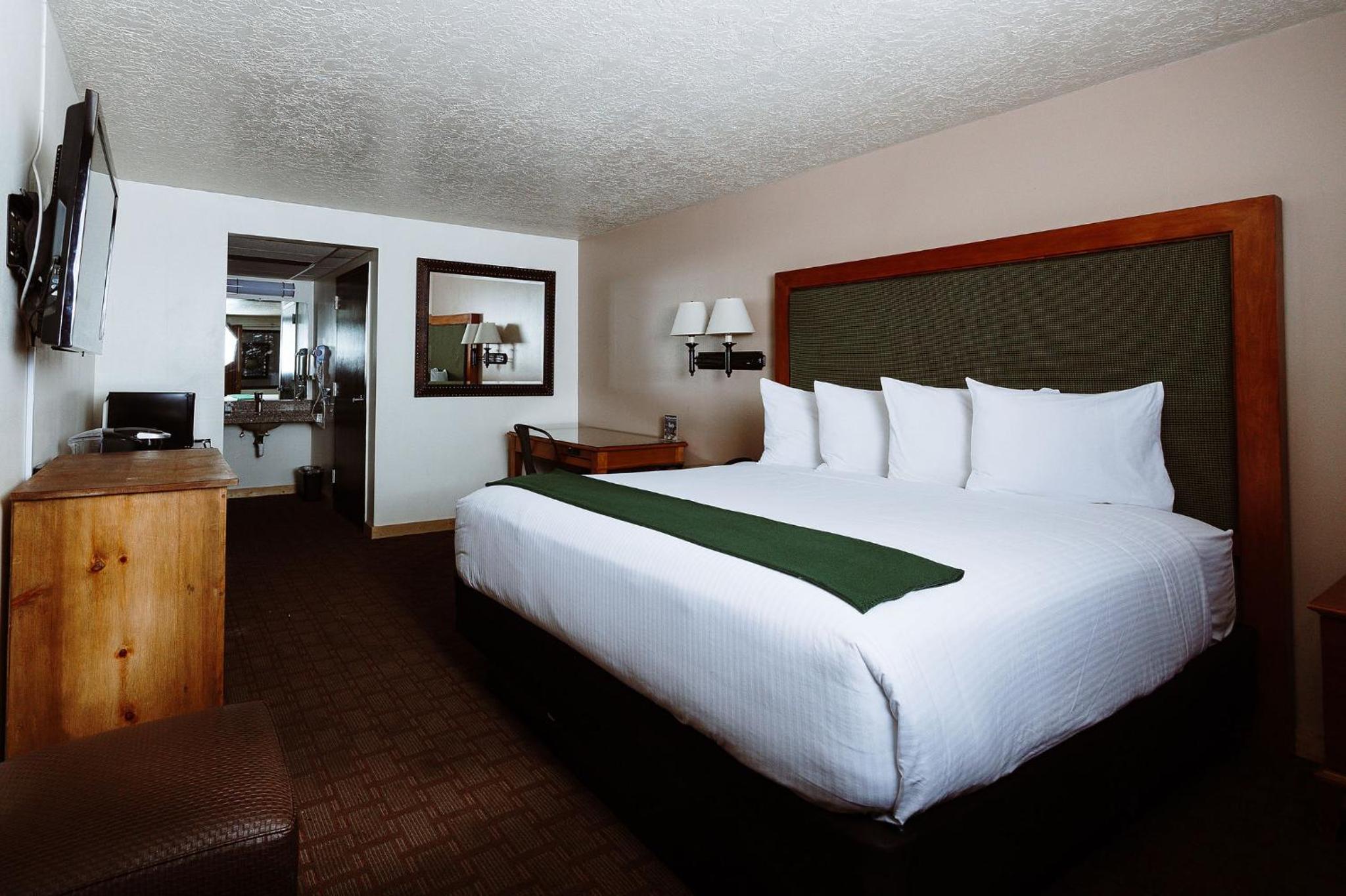 Standard Single Room photo 2