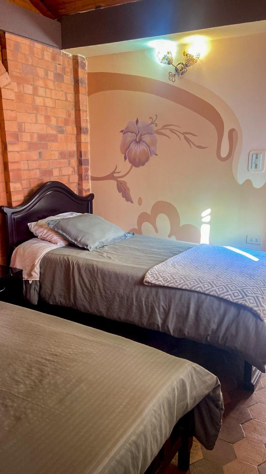 Twin Room photo 3