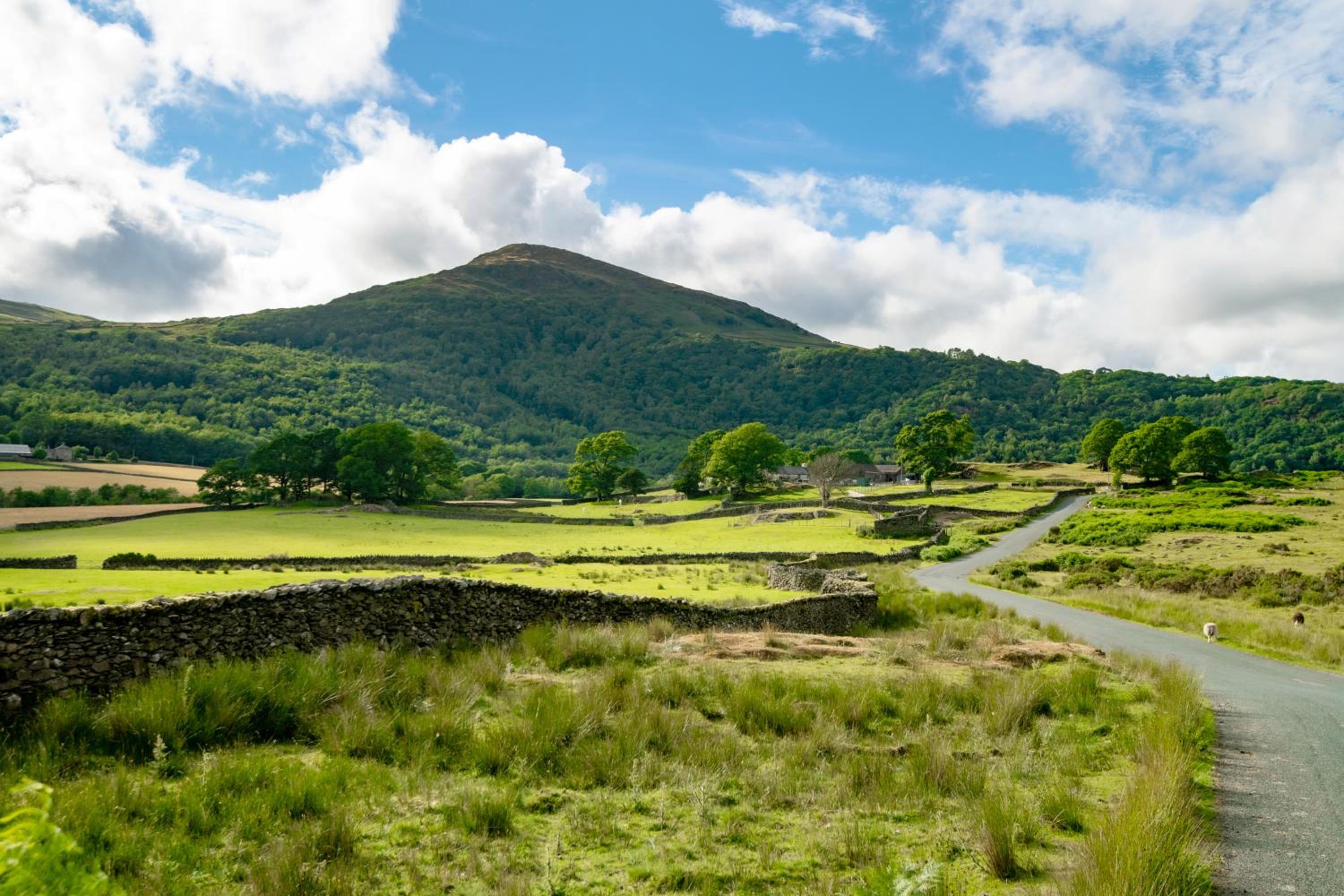 One-Bedroom Cottage - Hardknott - Photo 23