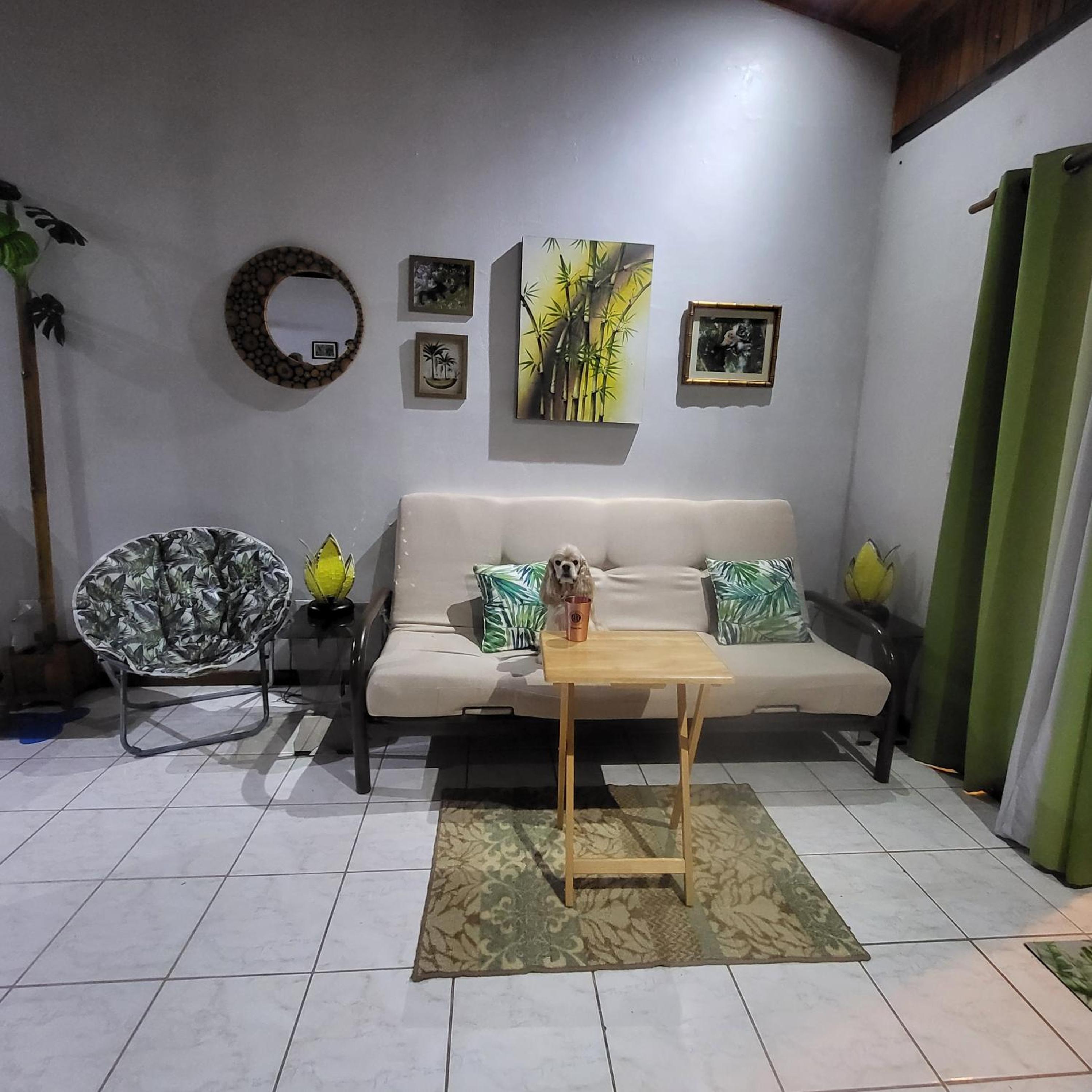 One-Bedroom House photo 1