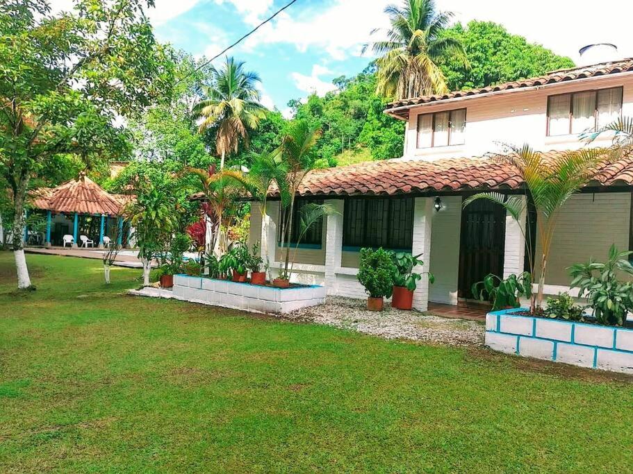Superior Villa photo 2