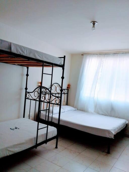 Superior Villa photo 1