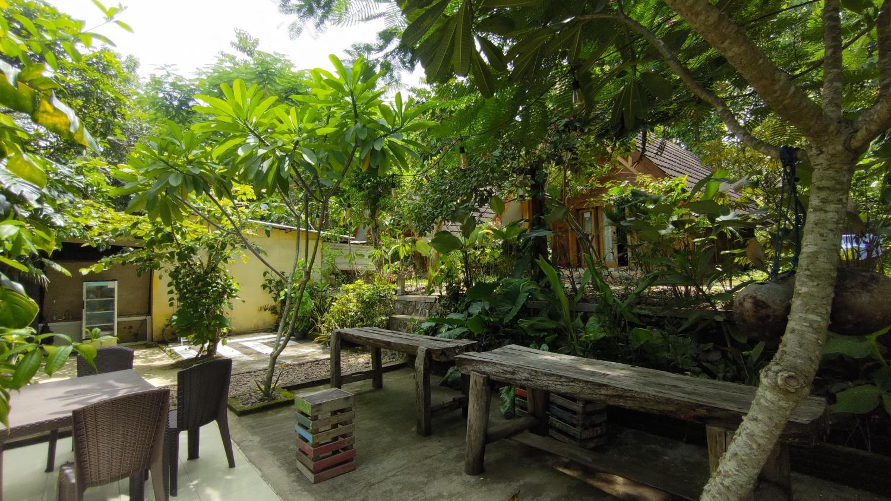 Standard Bungalow photo 3