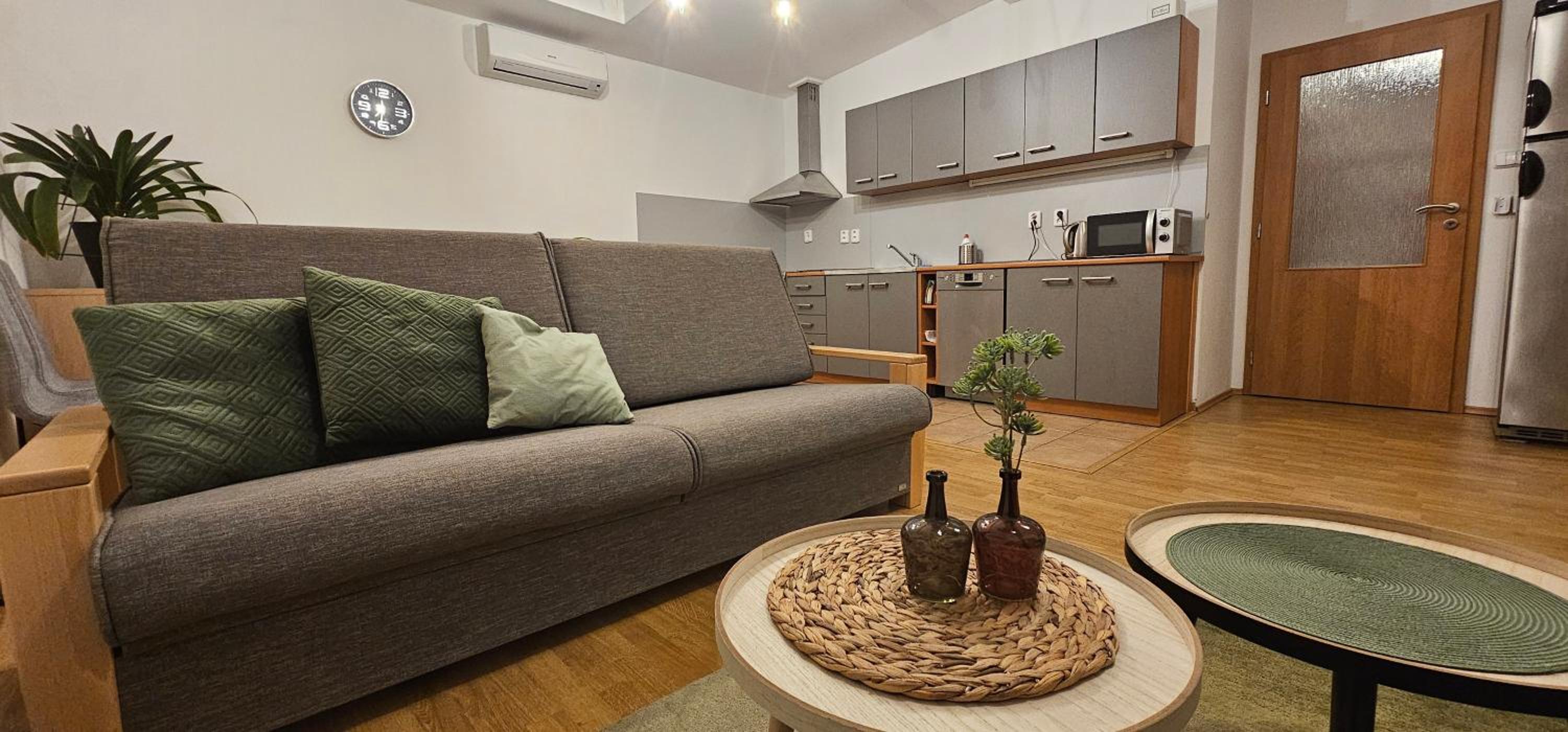 One-Bedroom Apartment photo 3