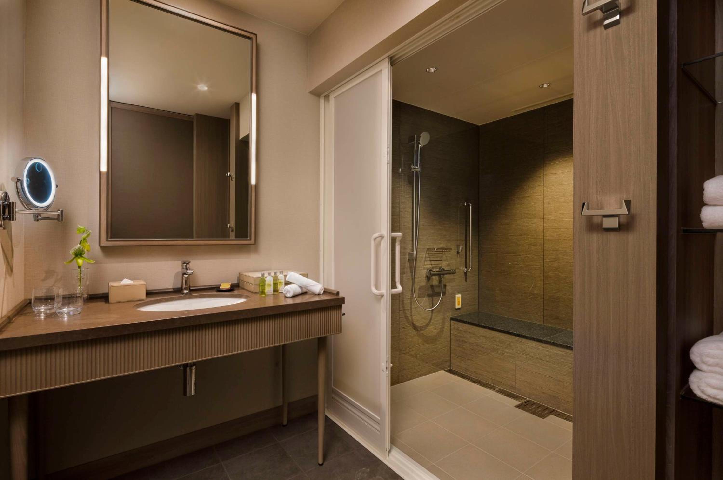 King Room - Mobility Accessible  - Photo 4