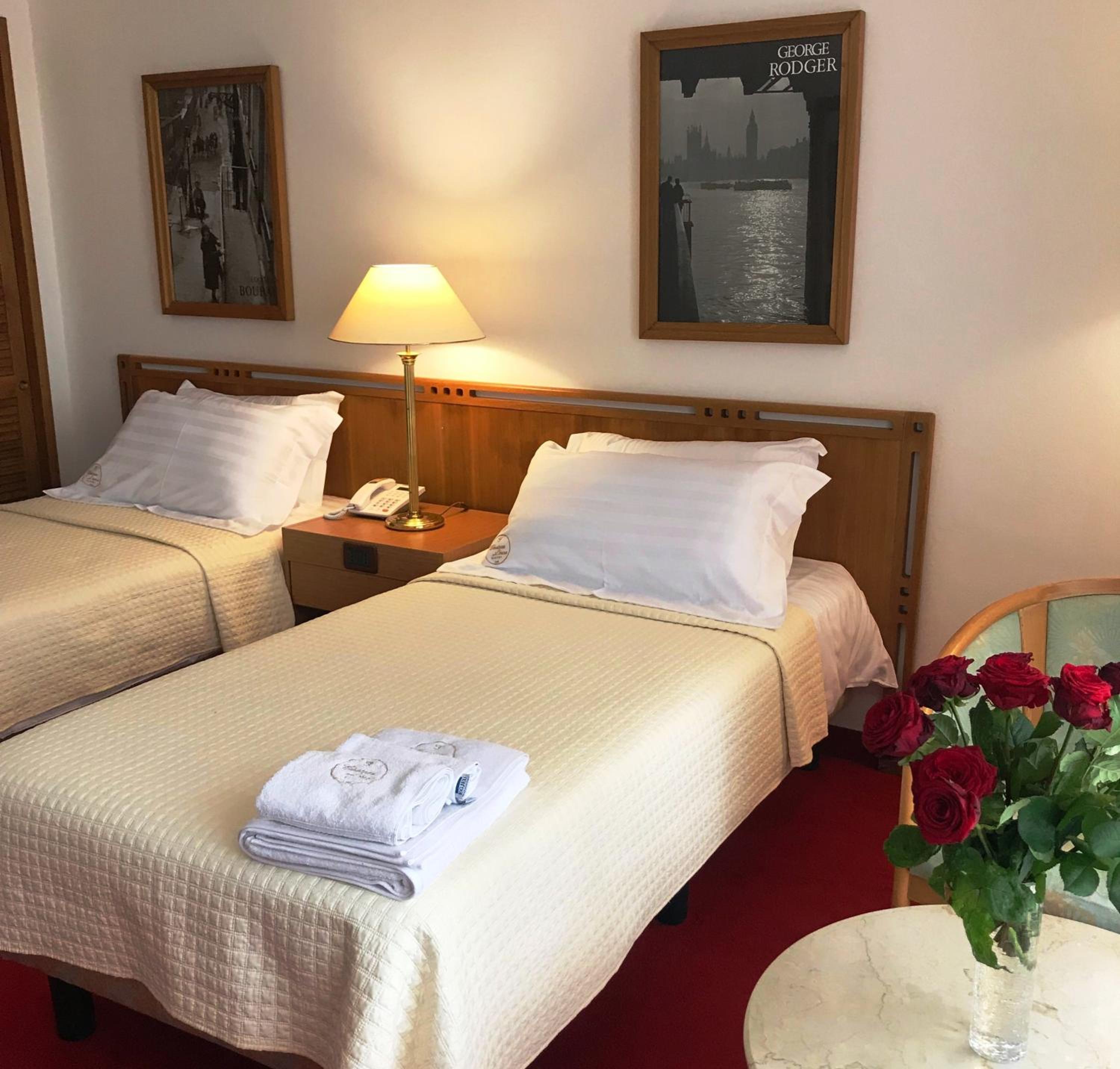 Standard Twin Room with Mountain View