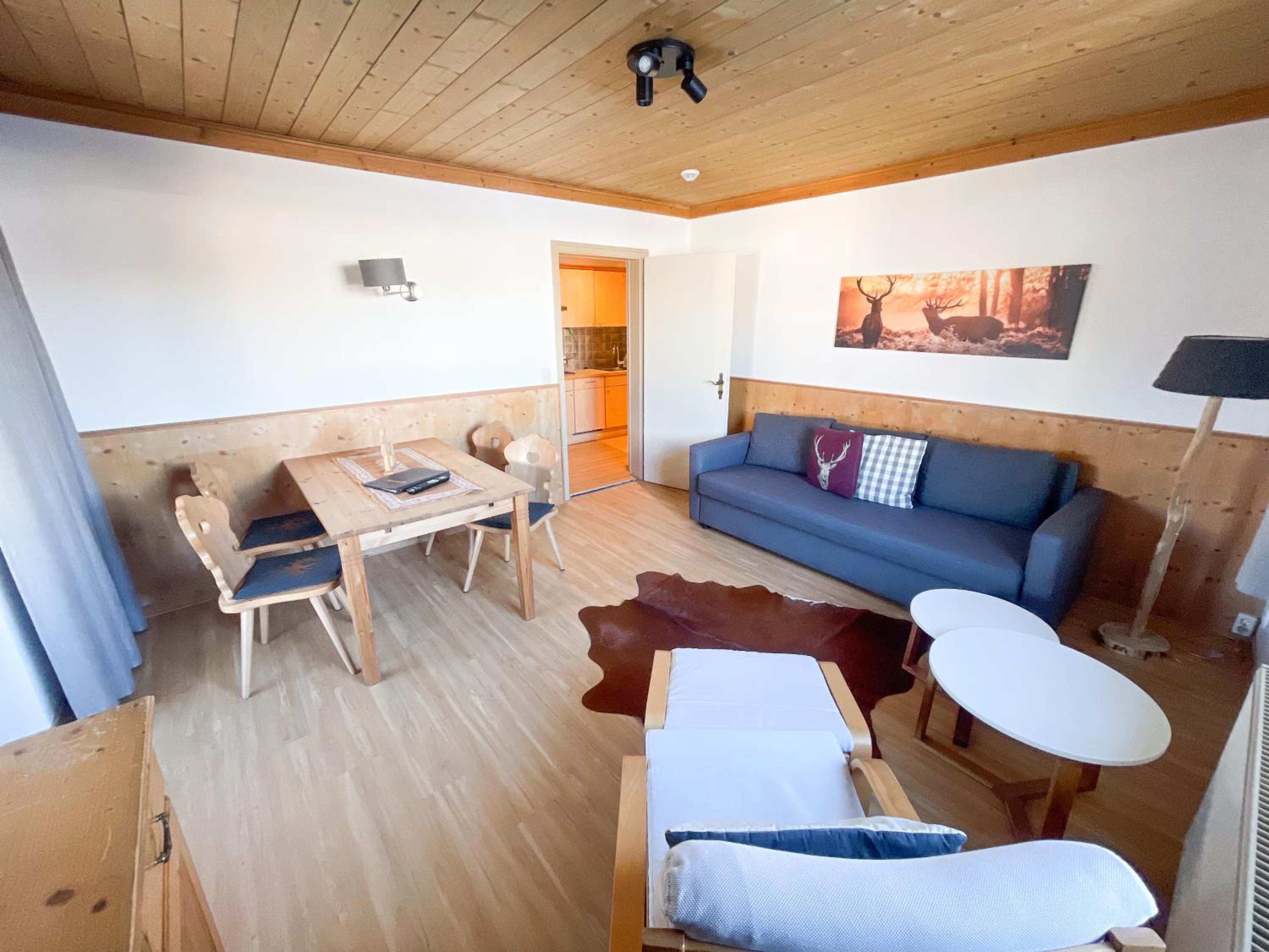 One-Bedroom Apartment and Balcony and Bath Tub