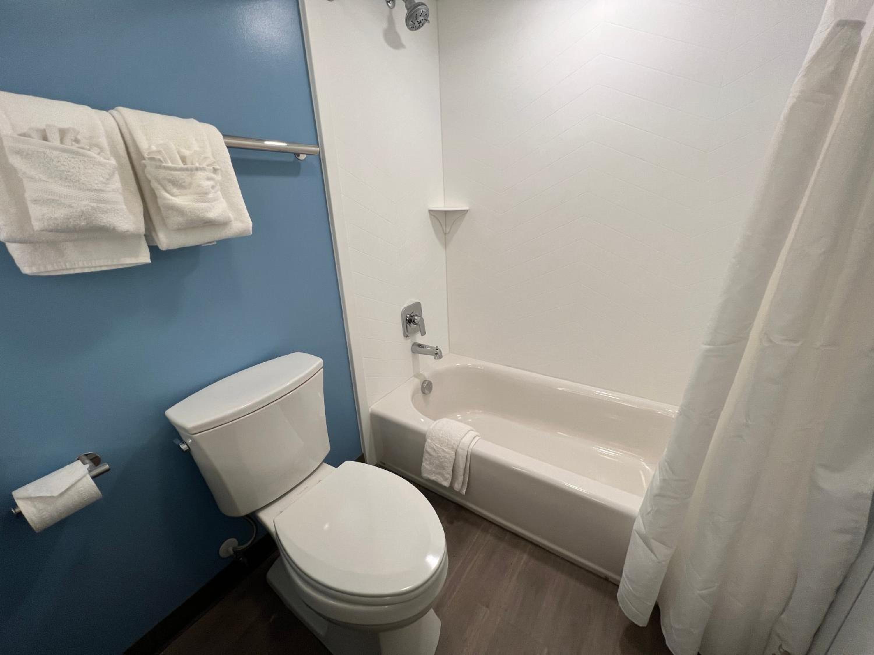 Deluxe King Suite - No Pets Allowed photo 2