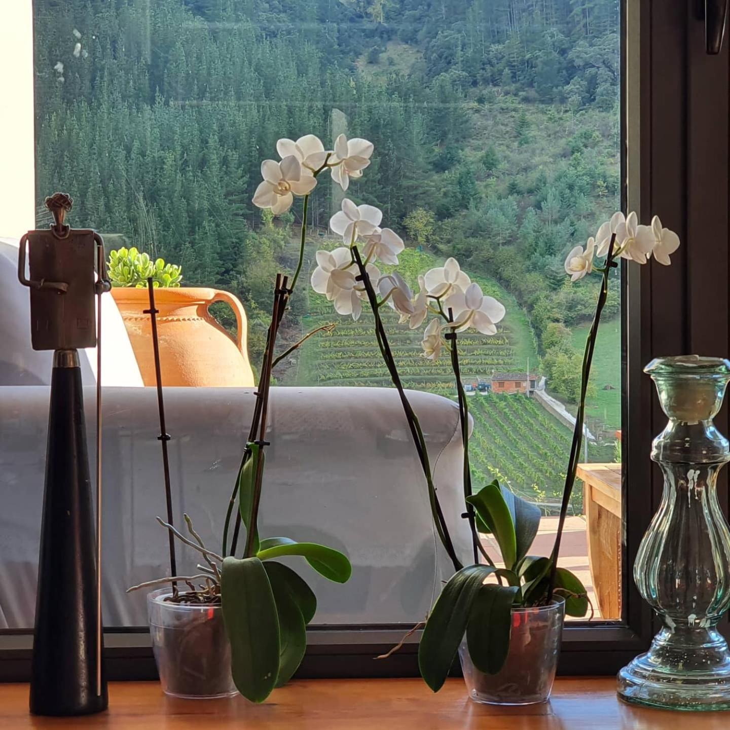 Three-Bedroom Chalet - Photo 5