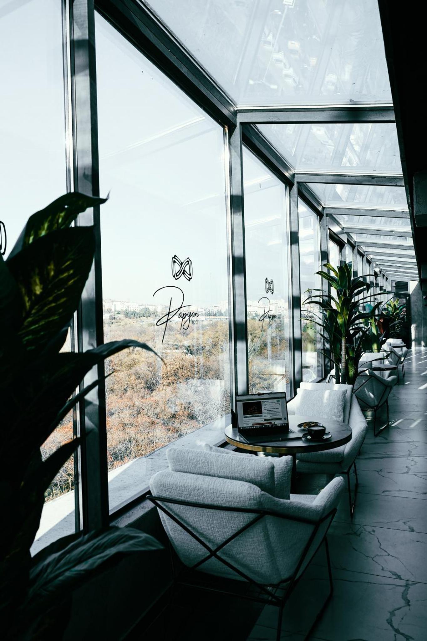 Suite - Photo 7