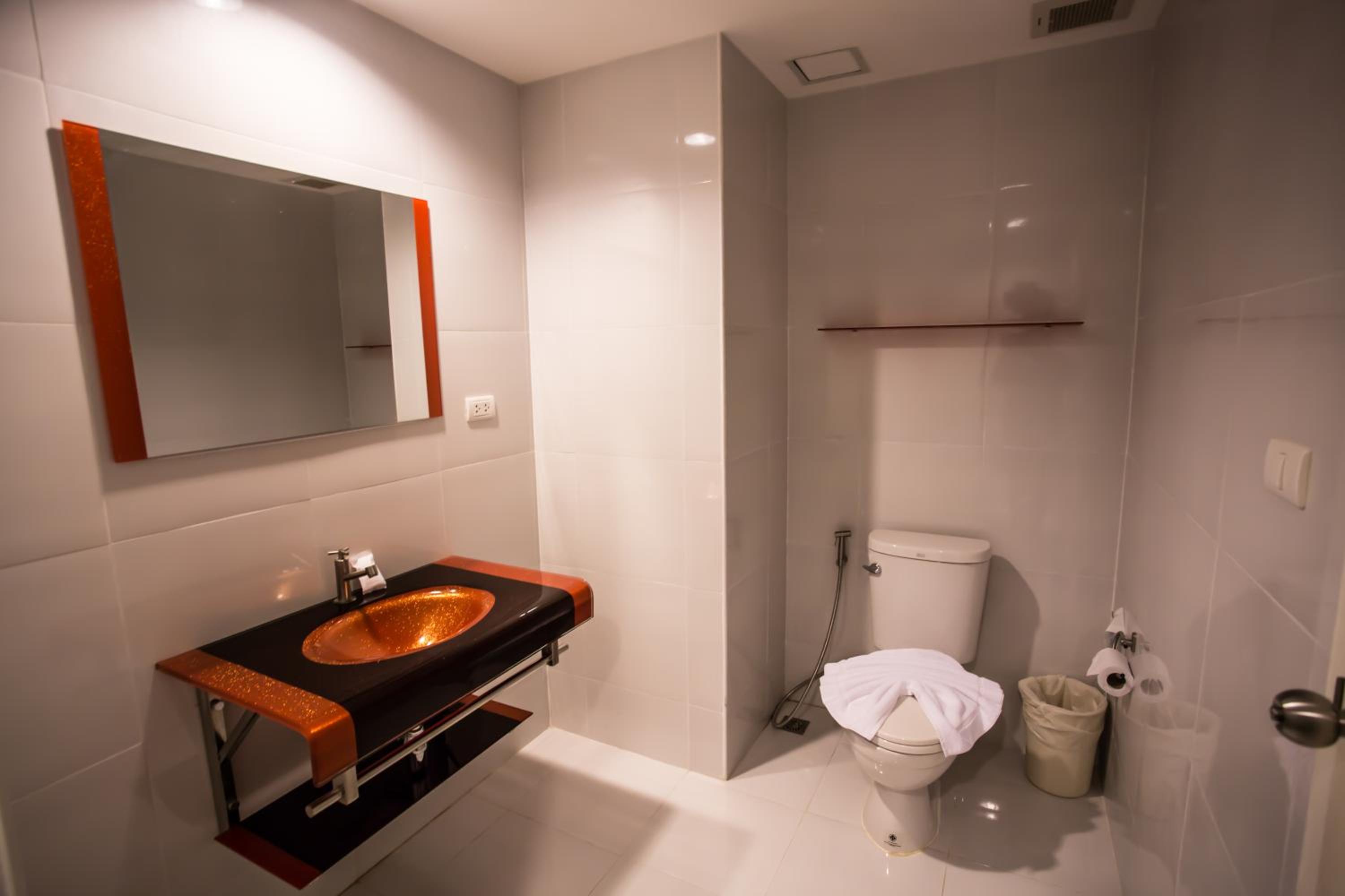 Deluxe Double or Twin Room - Photo 12