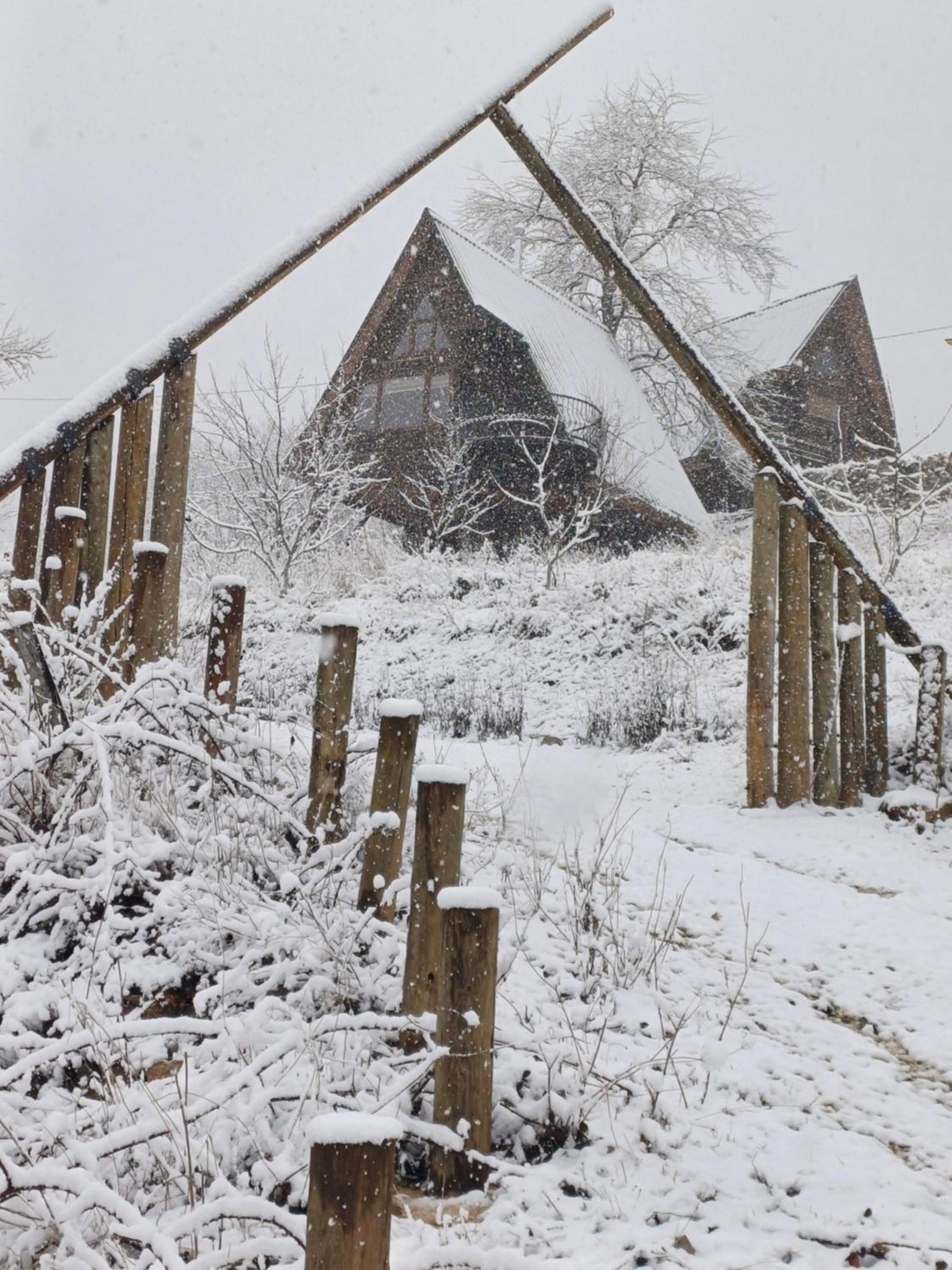 Chalet photo 3